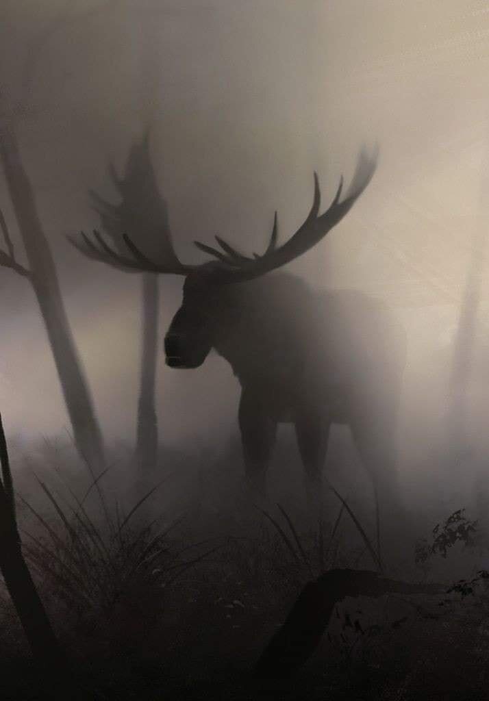 Moose Picture in the Mist.jpg