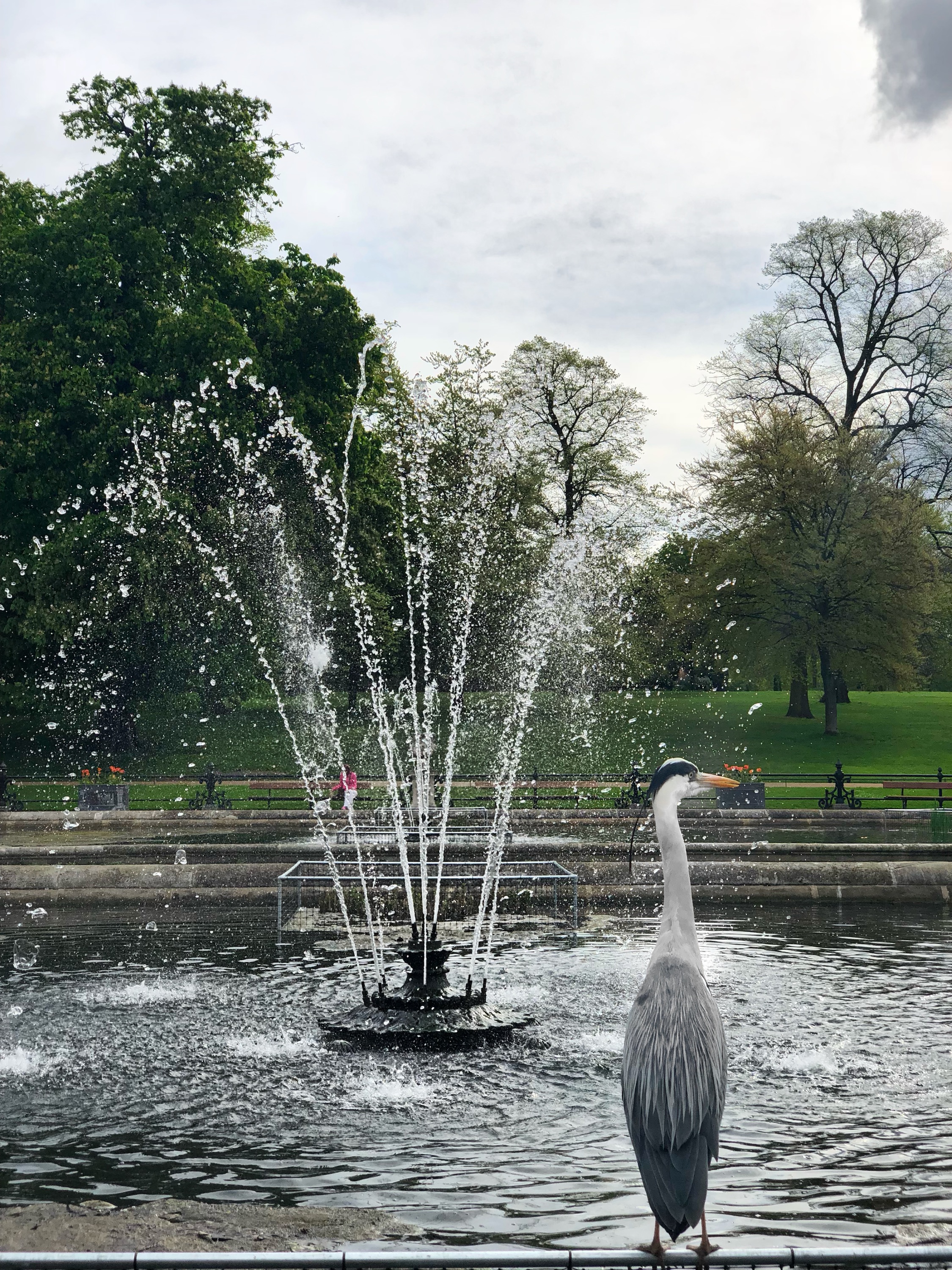 IMG_2075-1.jpeg