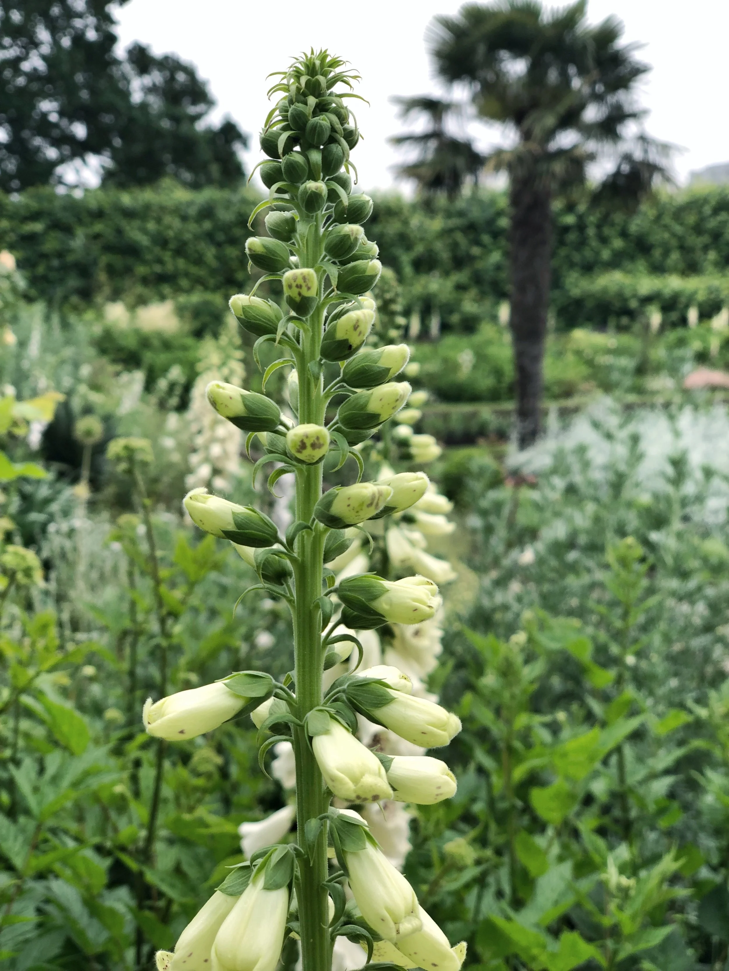 post-meditation journaling