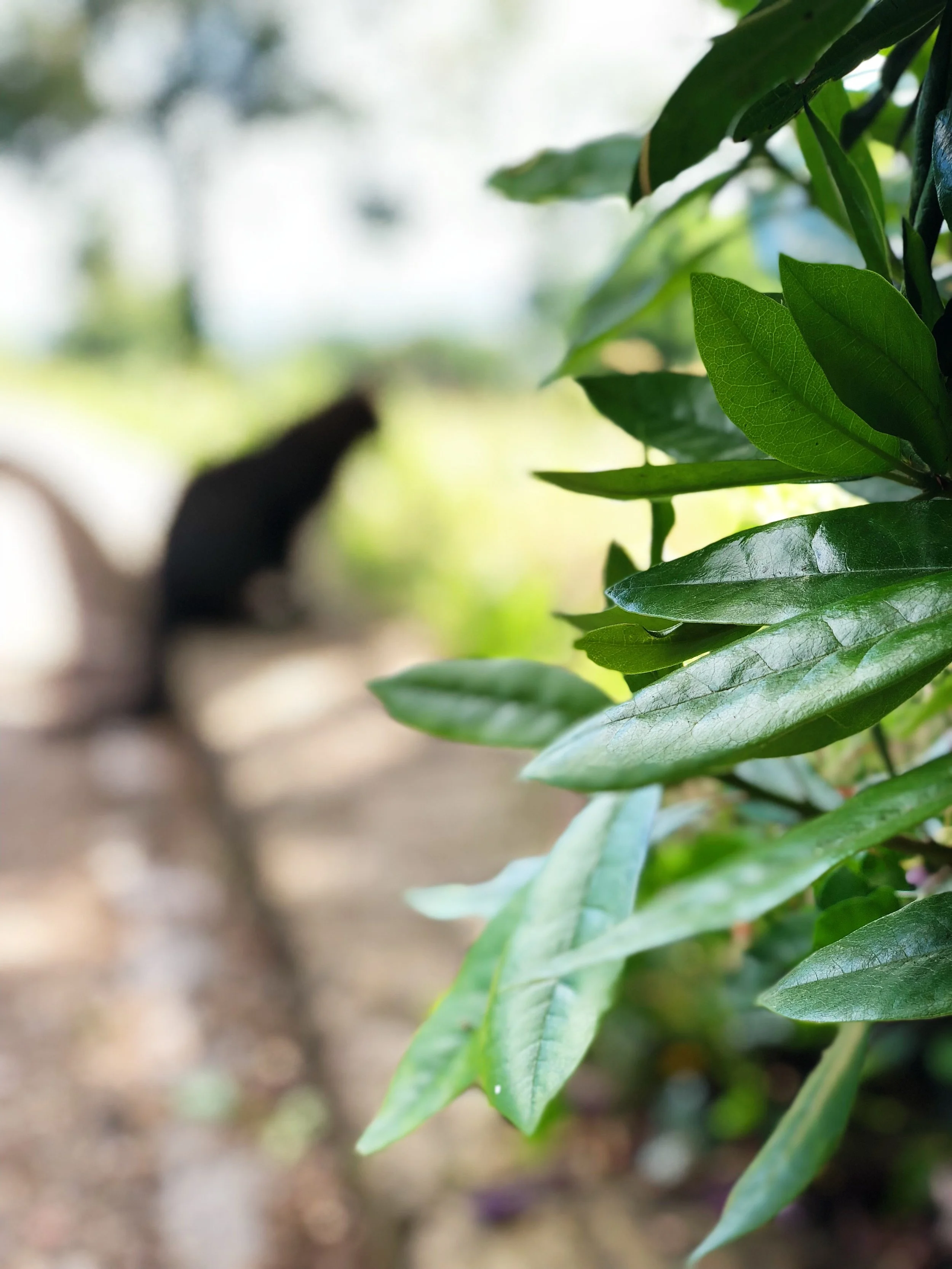 when things fall apart