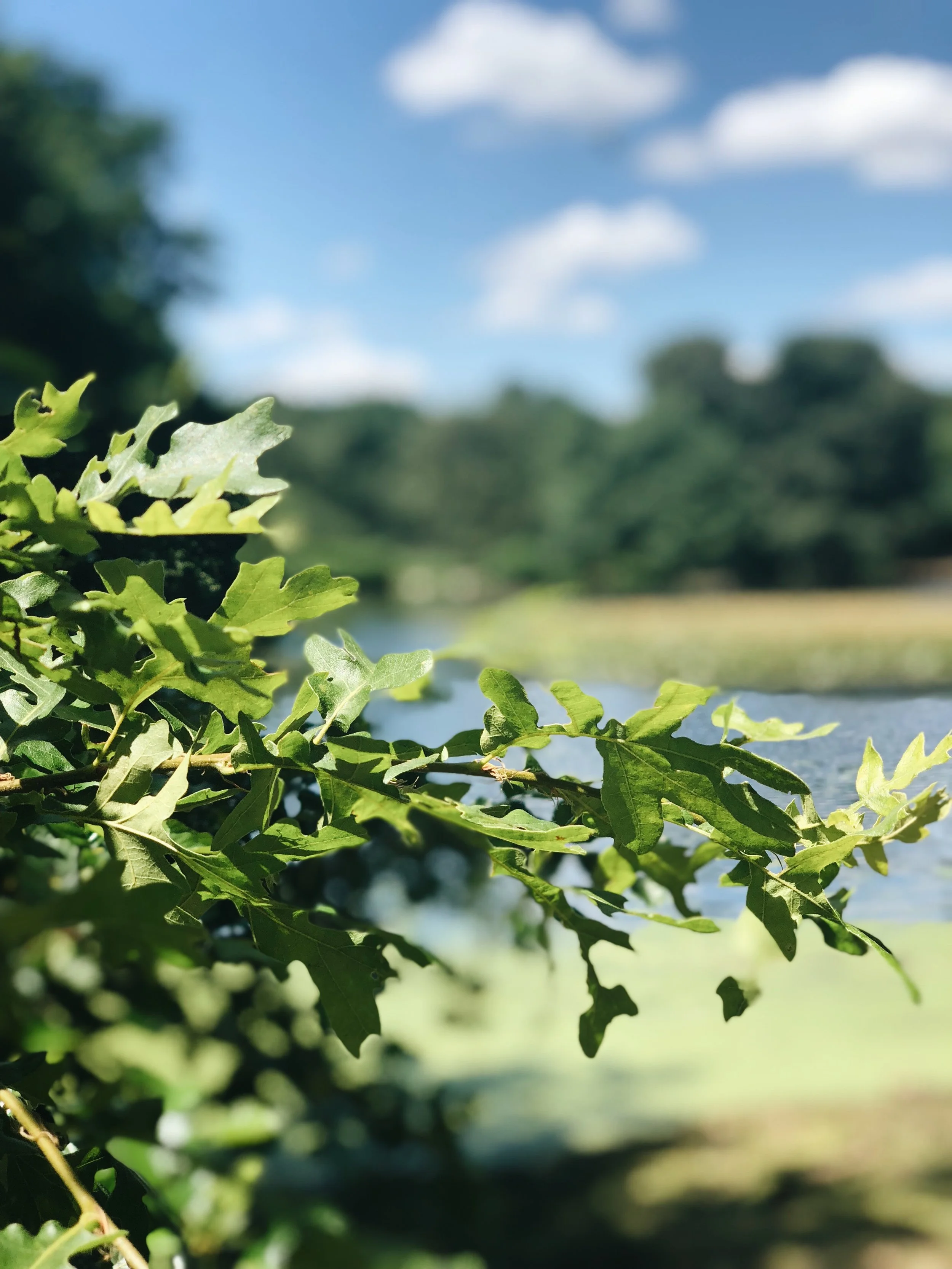 self-expansion Qs six