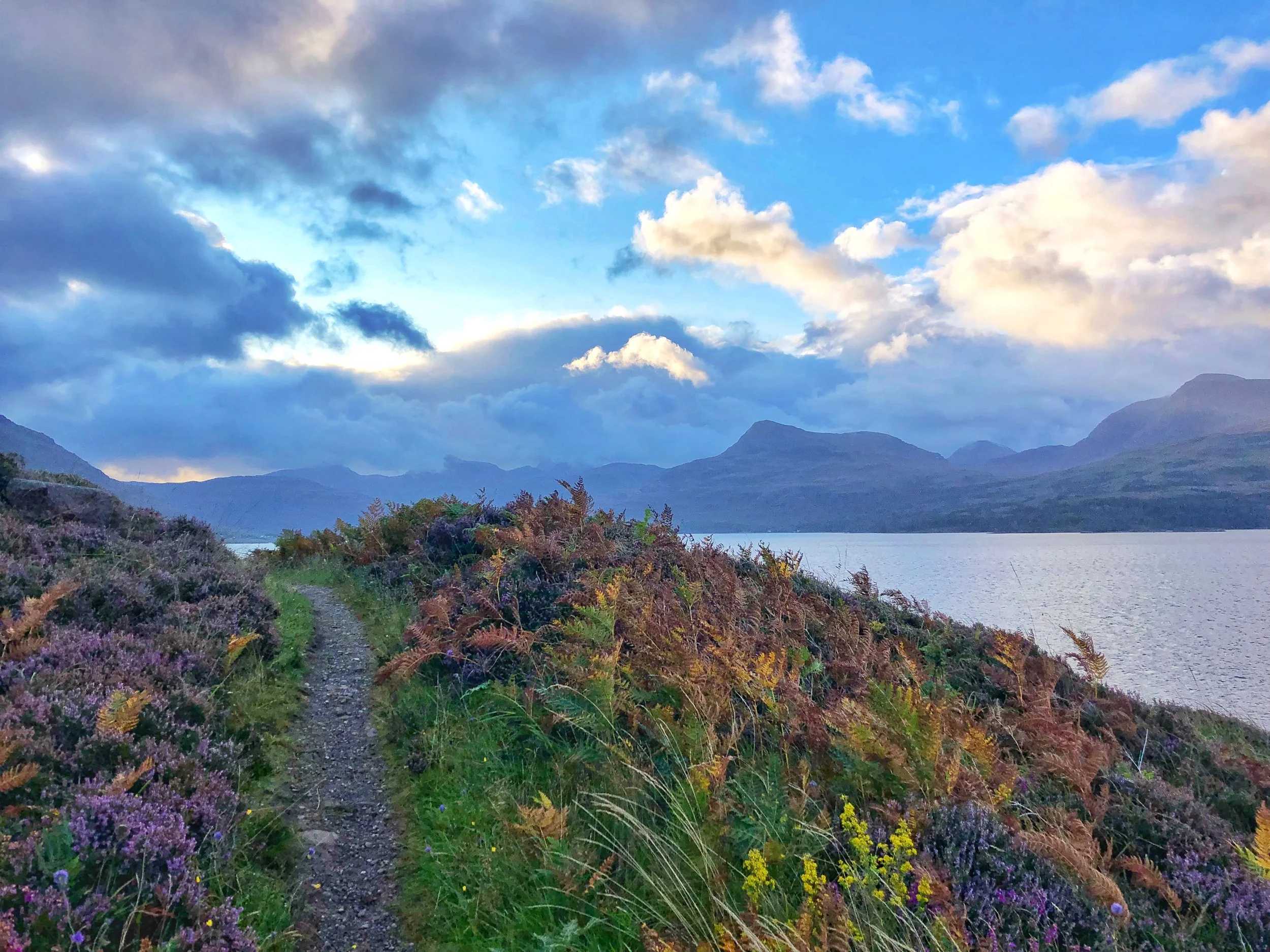 meditative nature walk
