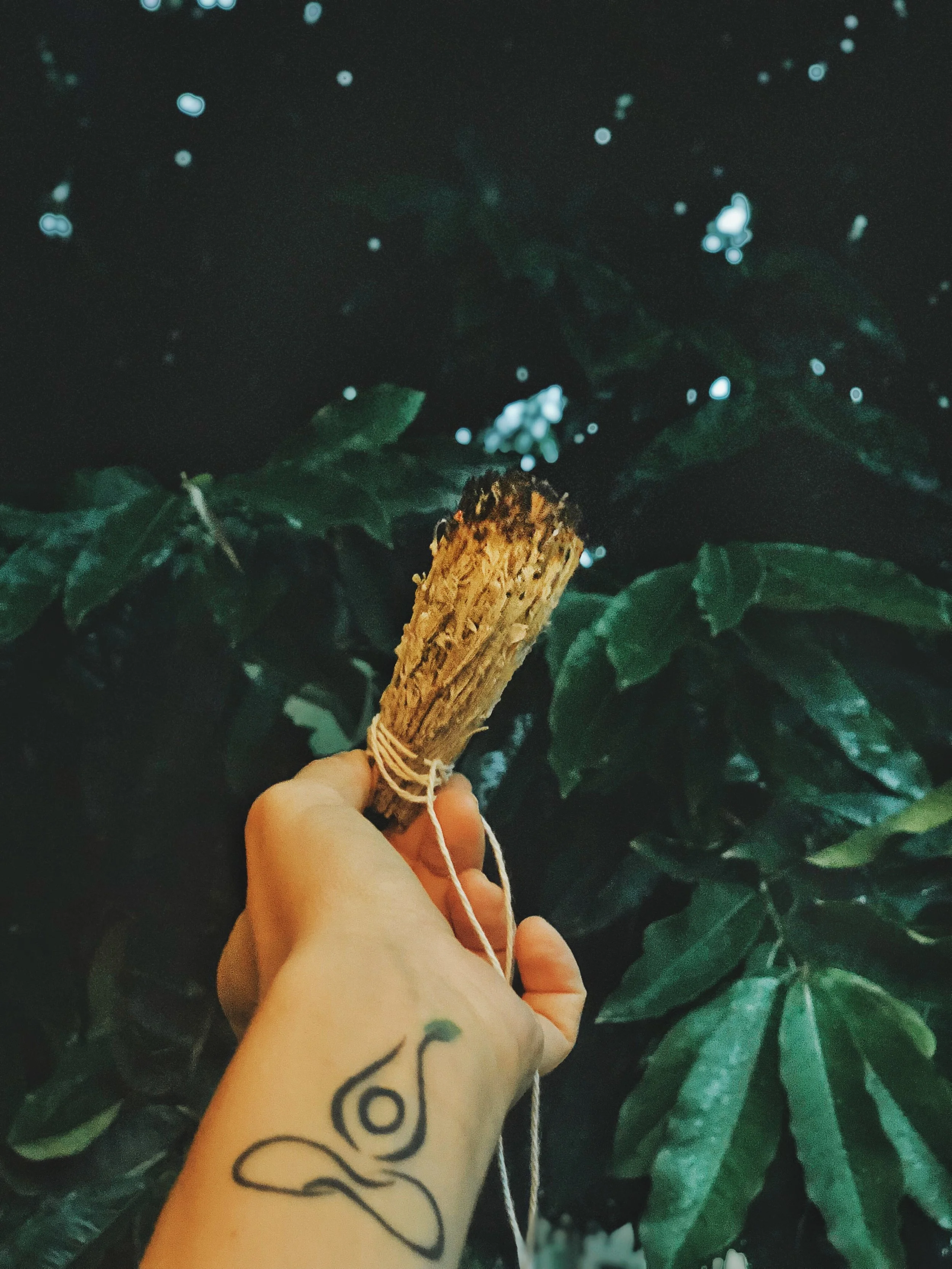 coloring your 2019 intrinsic Self