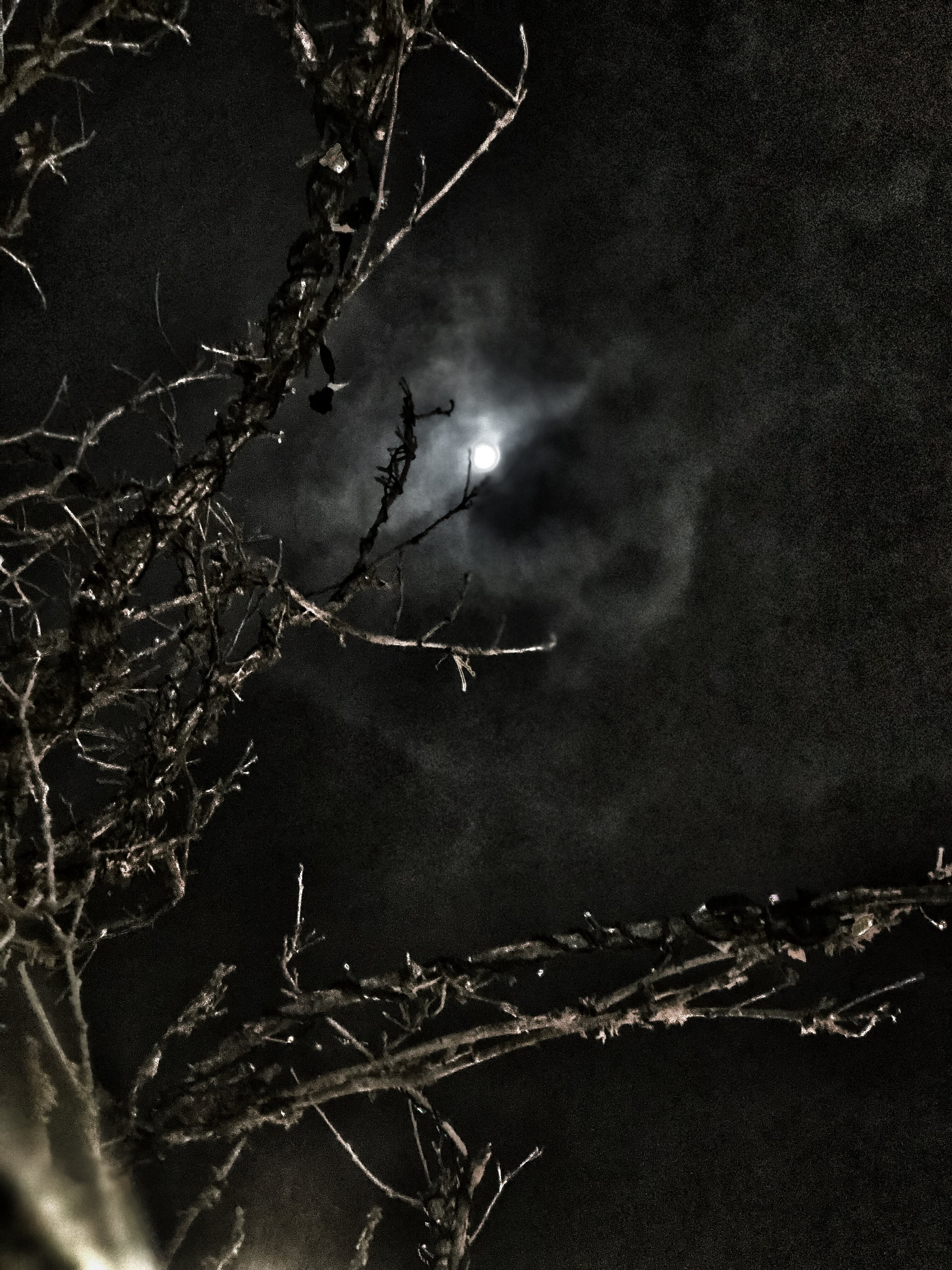 for the full moons...