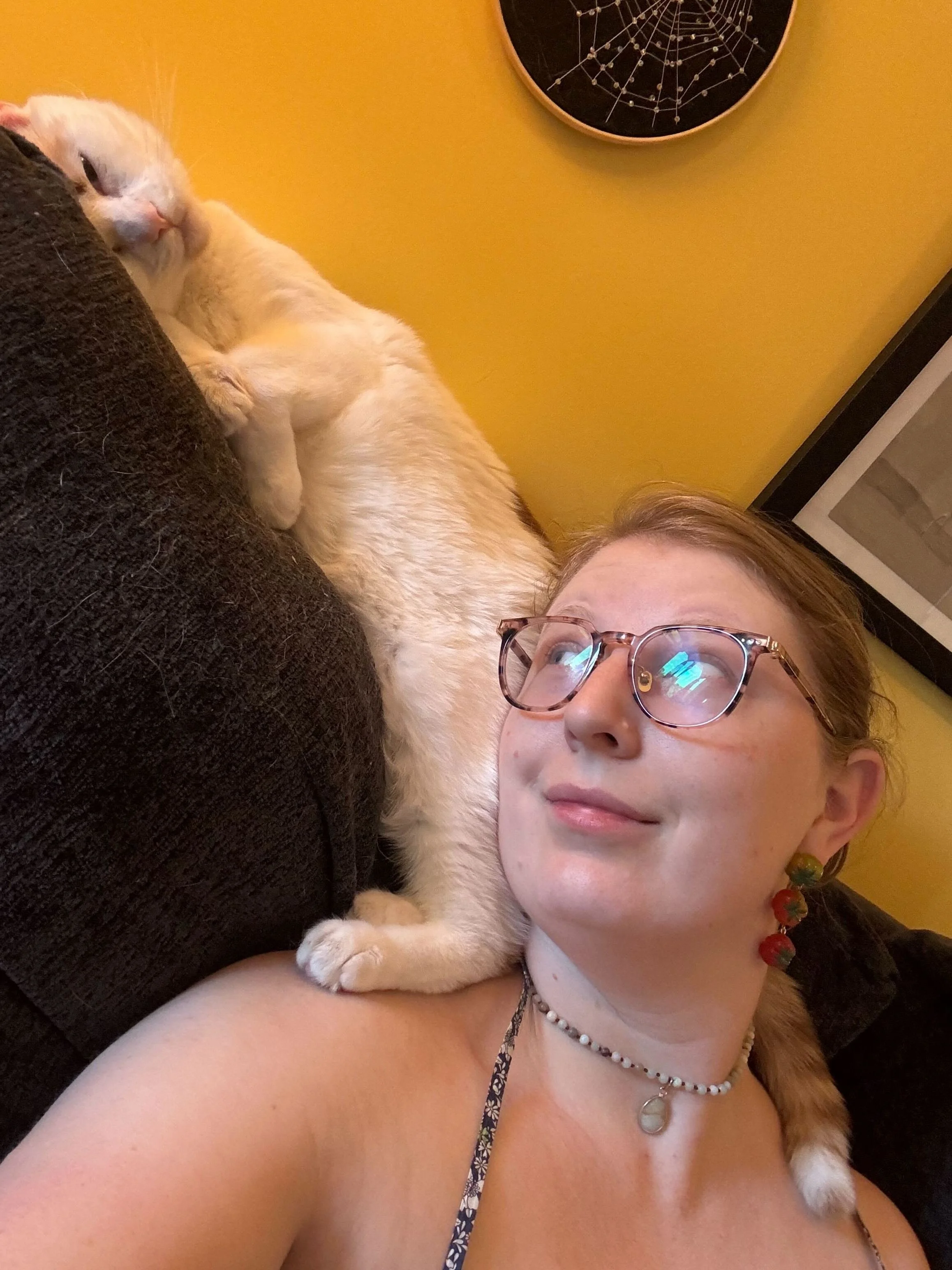 Ode to a New Couch