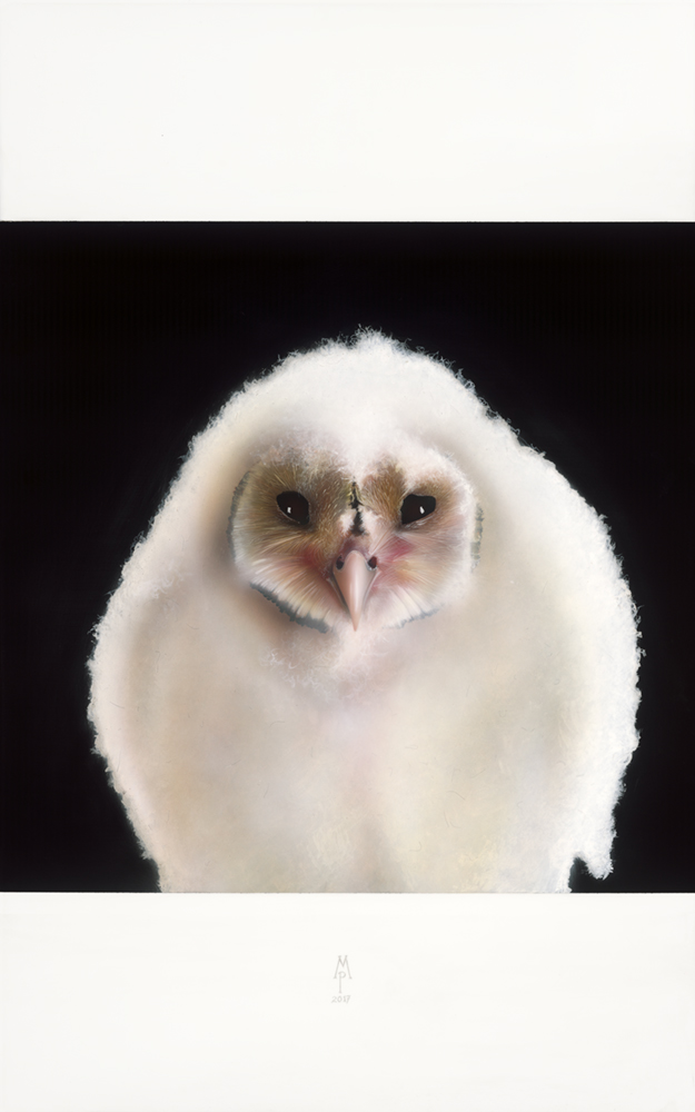 PeteMaierCotton(Hoot).jpg