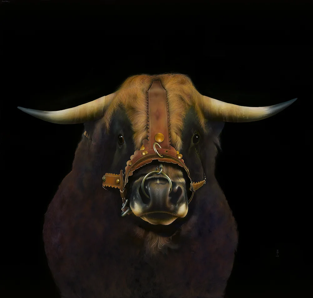 VikingBullMarket.jpg