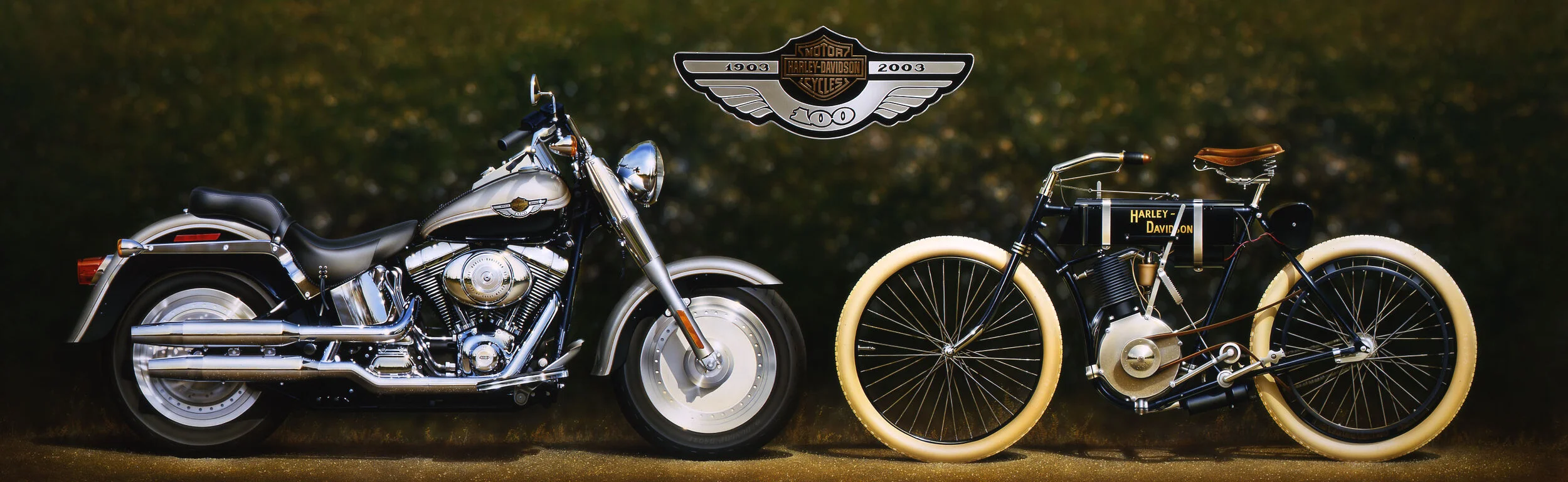 100thAnniv300dpi copy.JPG