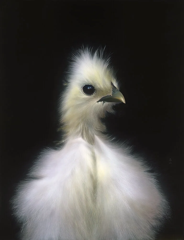 Chick2.jpg