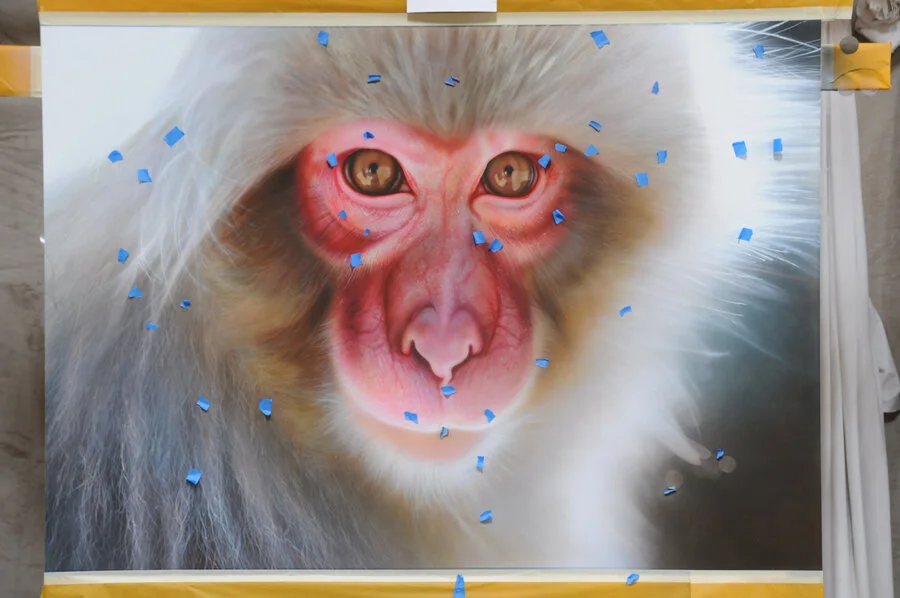 snow monkey 5.JPG