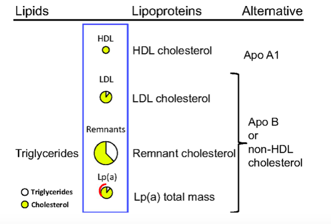 high cholesterol from keto diet