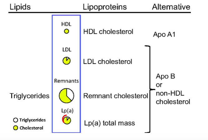 eketogenic diet causes elevated cholesterol