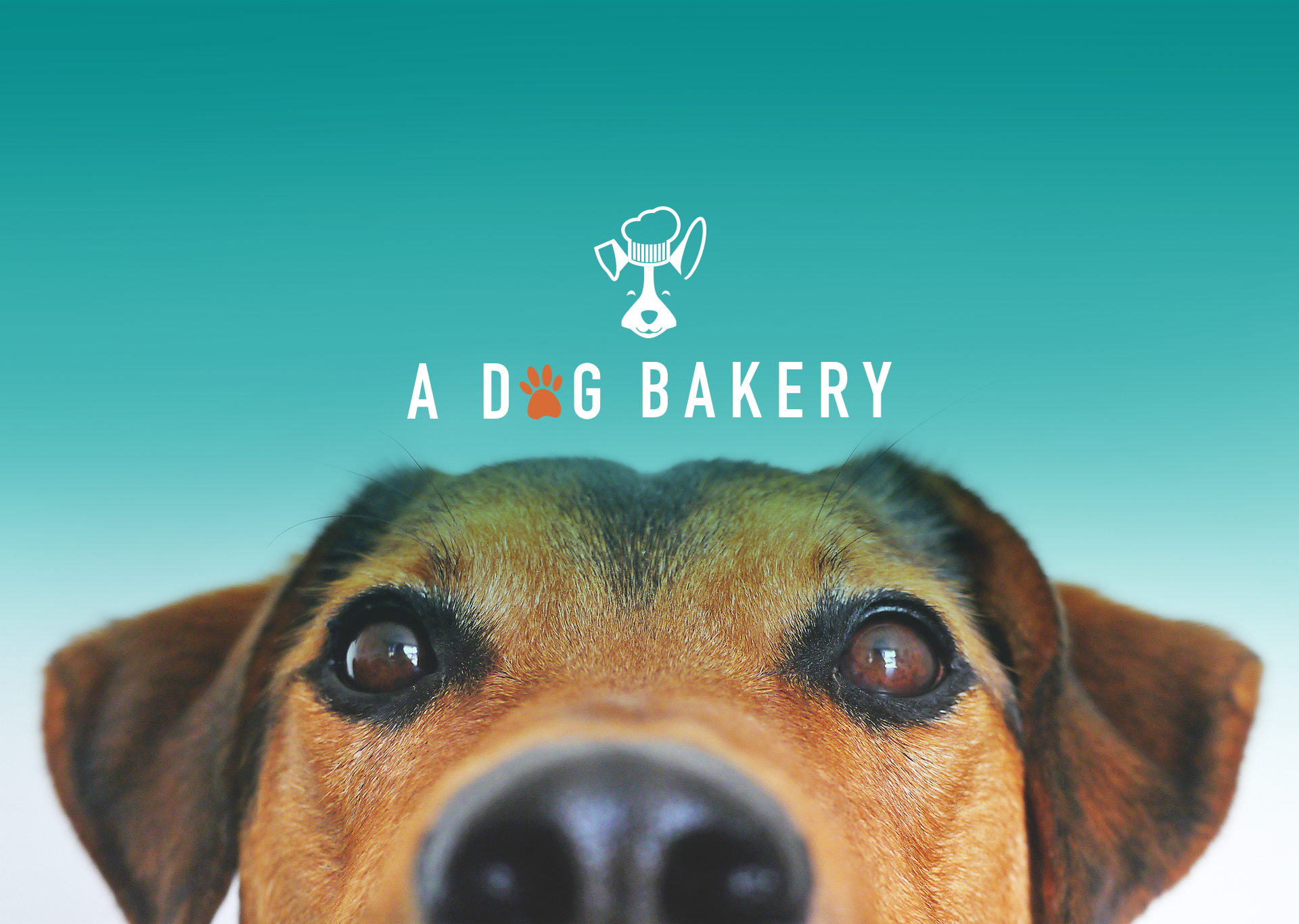 happy dog bakery