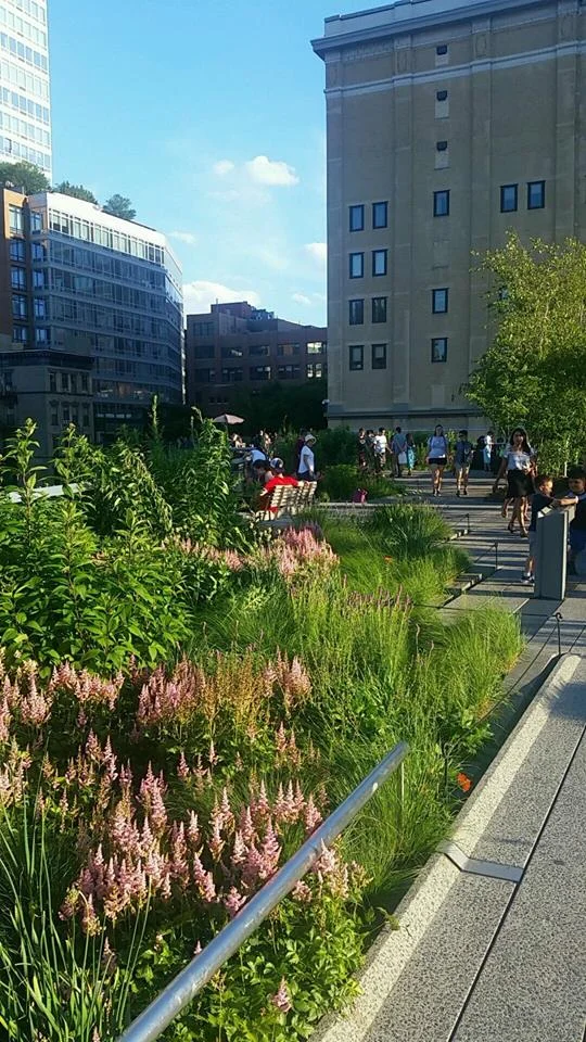 high-line.jpg