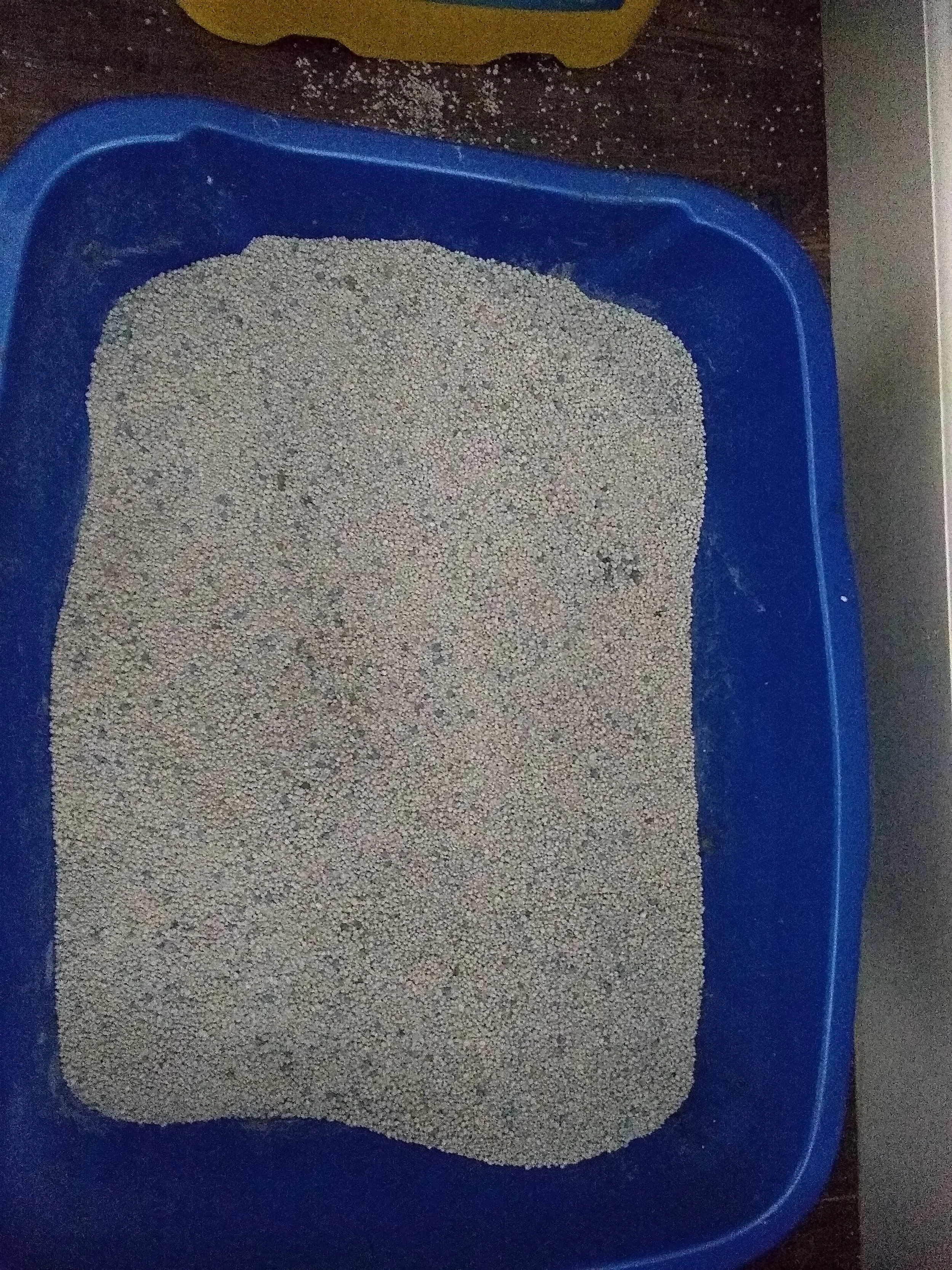 Here is the Tidy Cats litter. As you can see, it gets all over our floor and on nearby surfaces. I swear our cats fill their little fists with it before jumping out and scurrying around the house depositing it. I used to find it all over, even in rooms without litter boxes. The larger gray specks you see are actually little urine clumps that broke up and fell threw the scooper during cleaning.