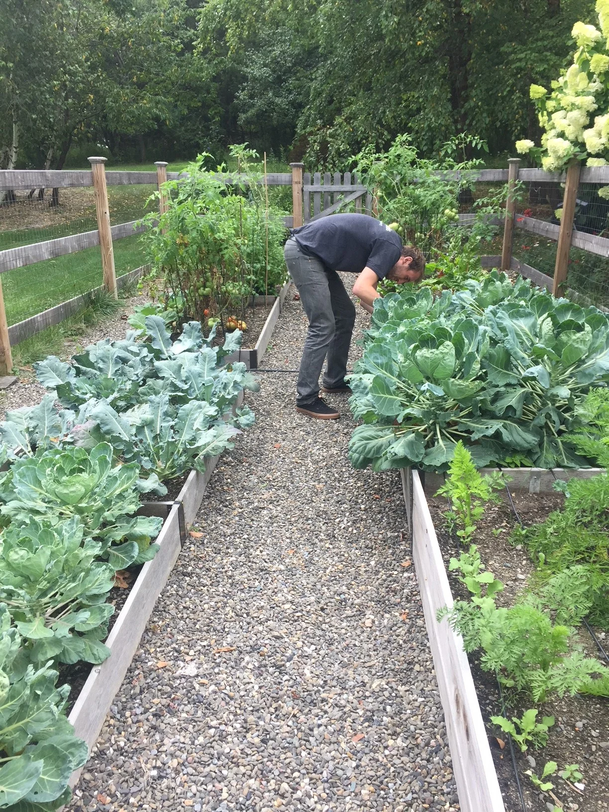 Garden.jpg