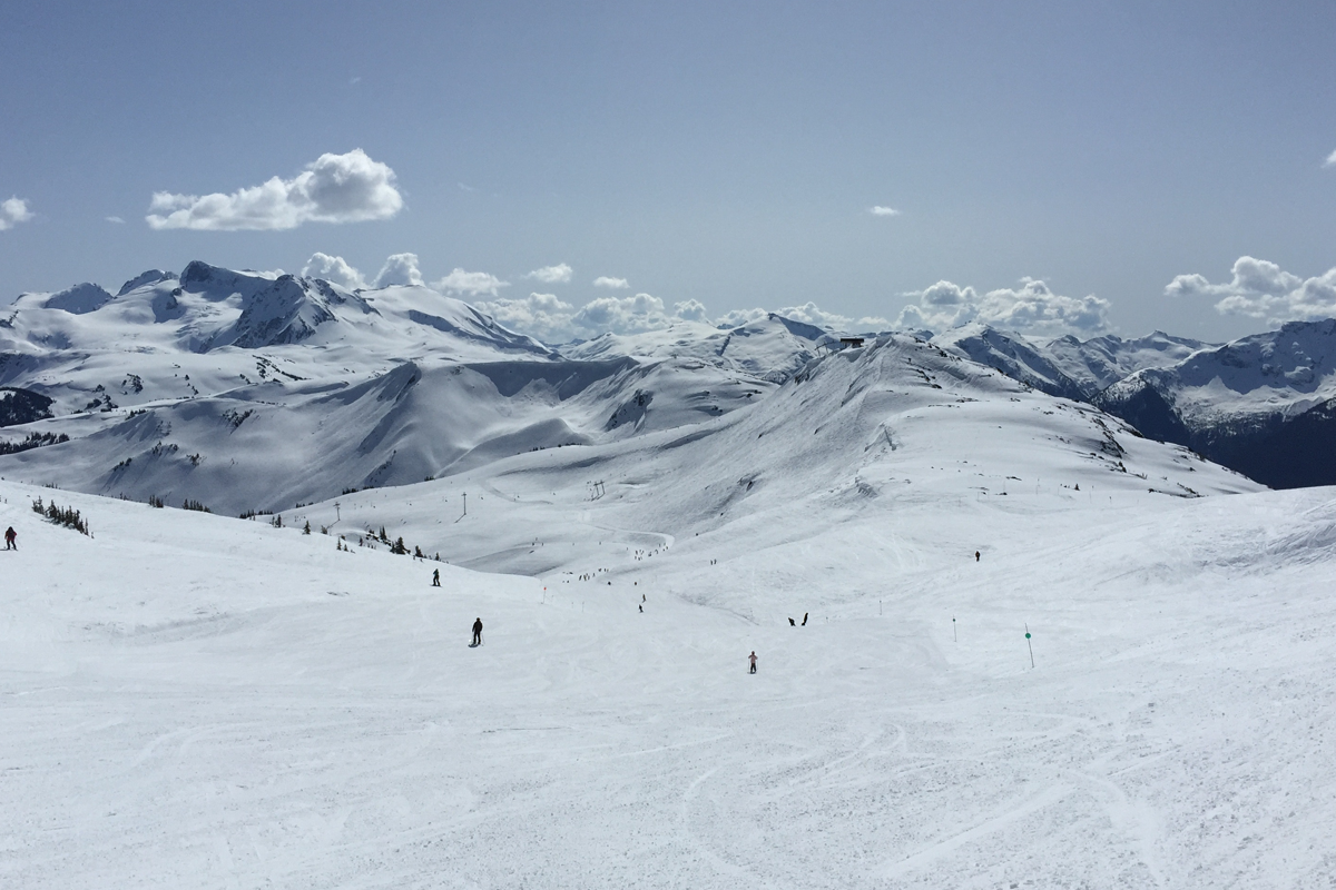 whistler-2.png