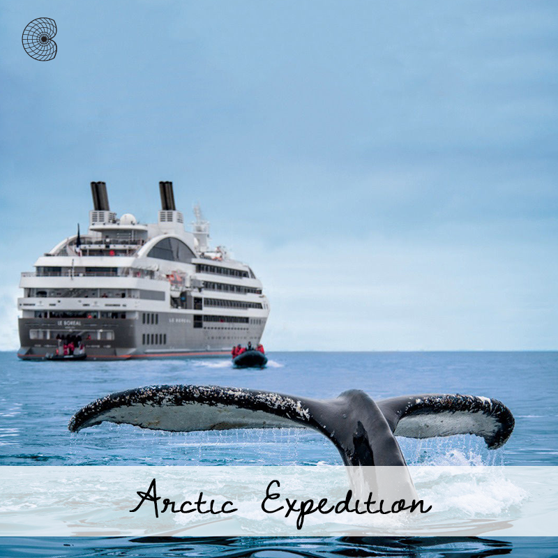 Website Thumbnail Images arctic.png