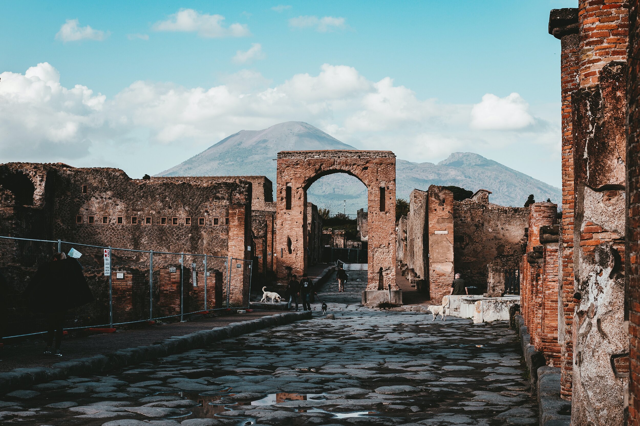 andy-holmes-h5cYy5OHDWM-unsplash.jpg