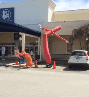 202edb_76588b5fe3f442b38e8737497473c071.gif