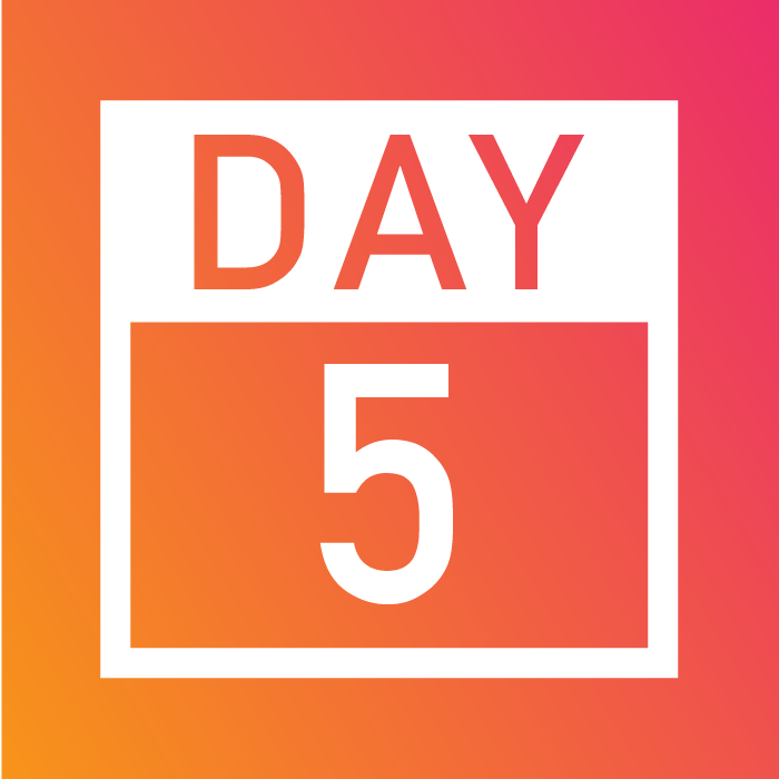 Days 1-5_Website-15.png