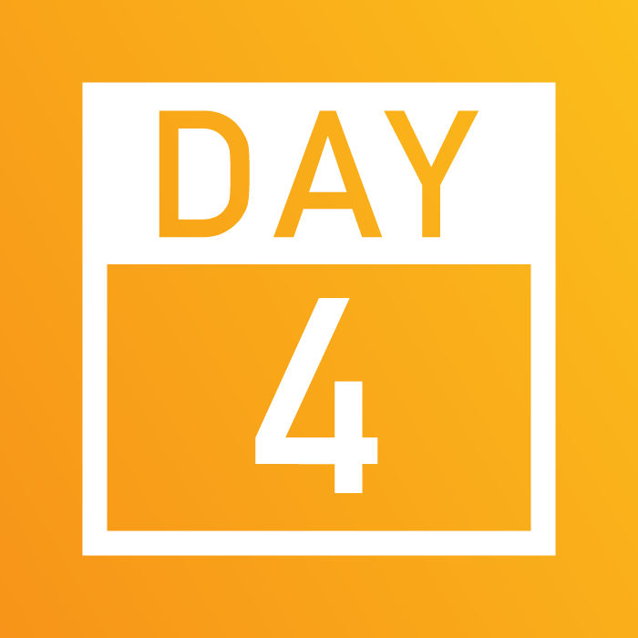 Days 1-5_Website-04.png
