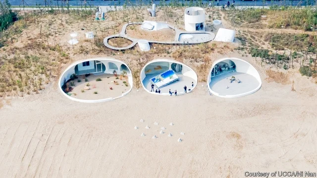 UCCA Dune.jpg