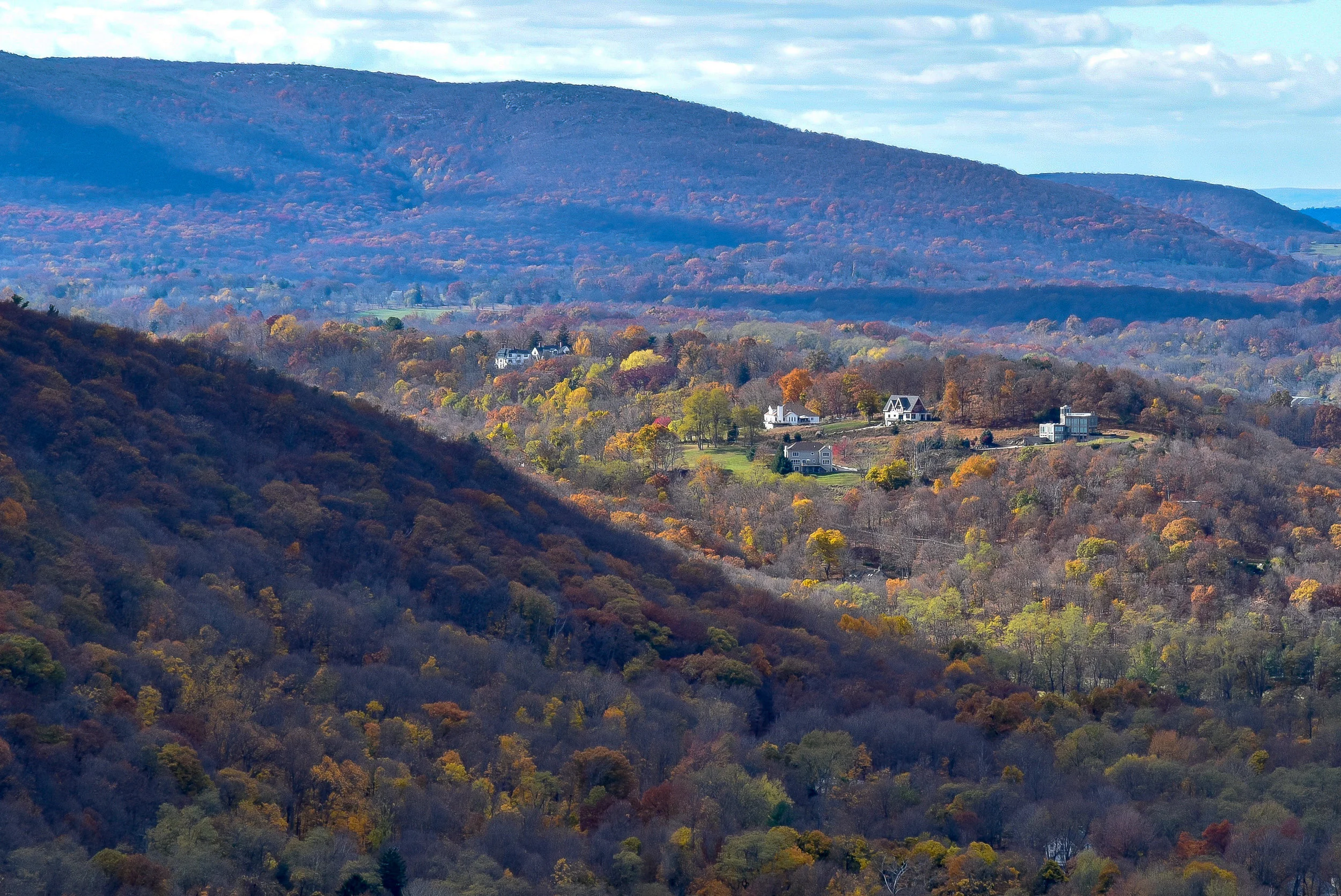 DSC_0171.jpg