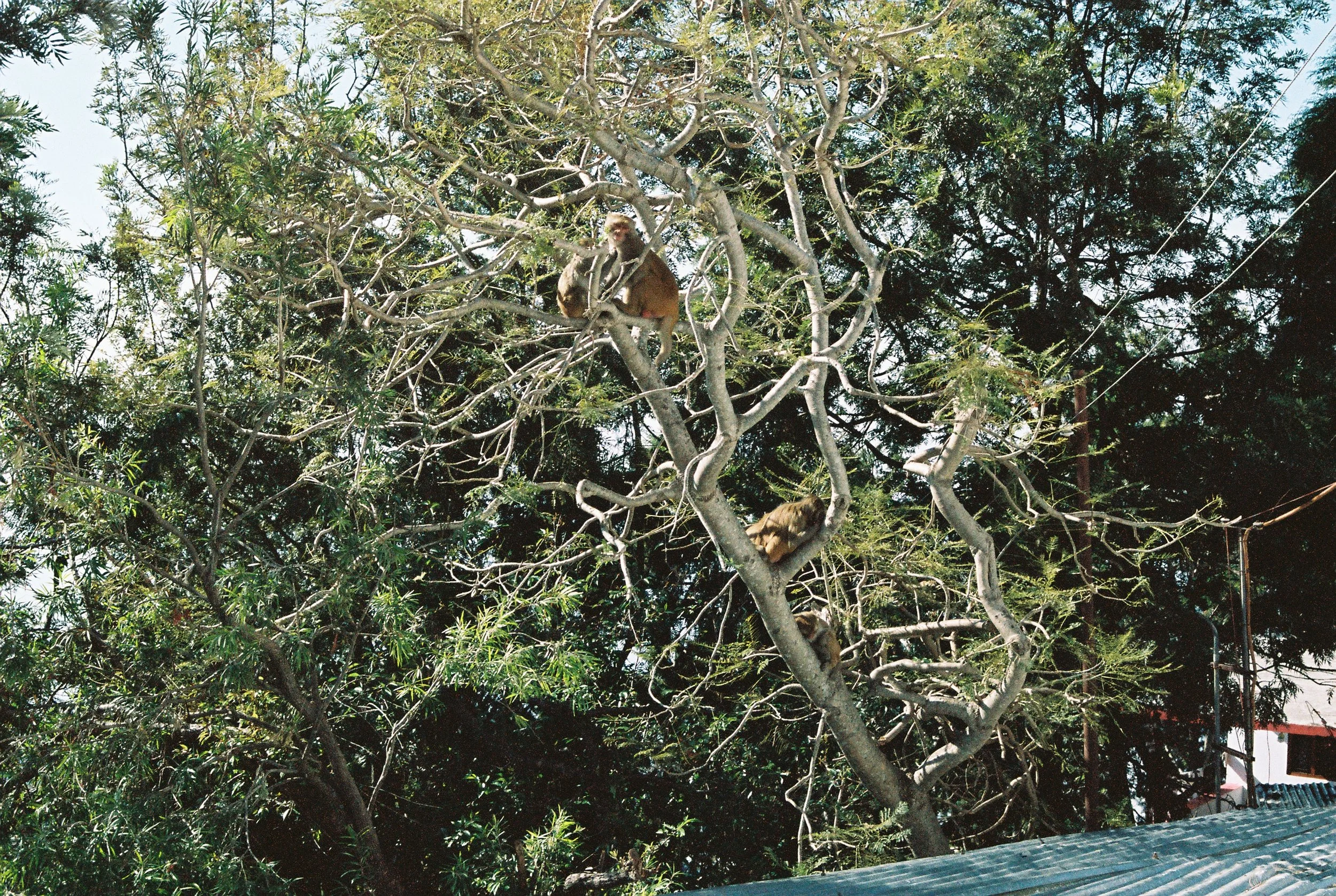 R1-09477-0030.JPG