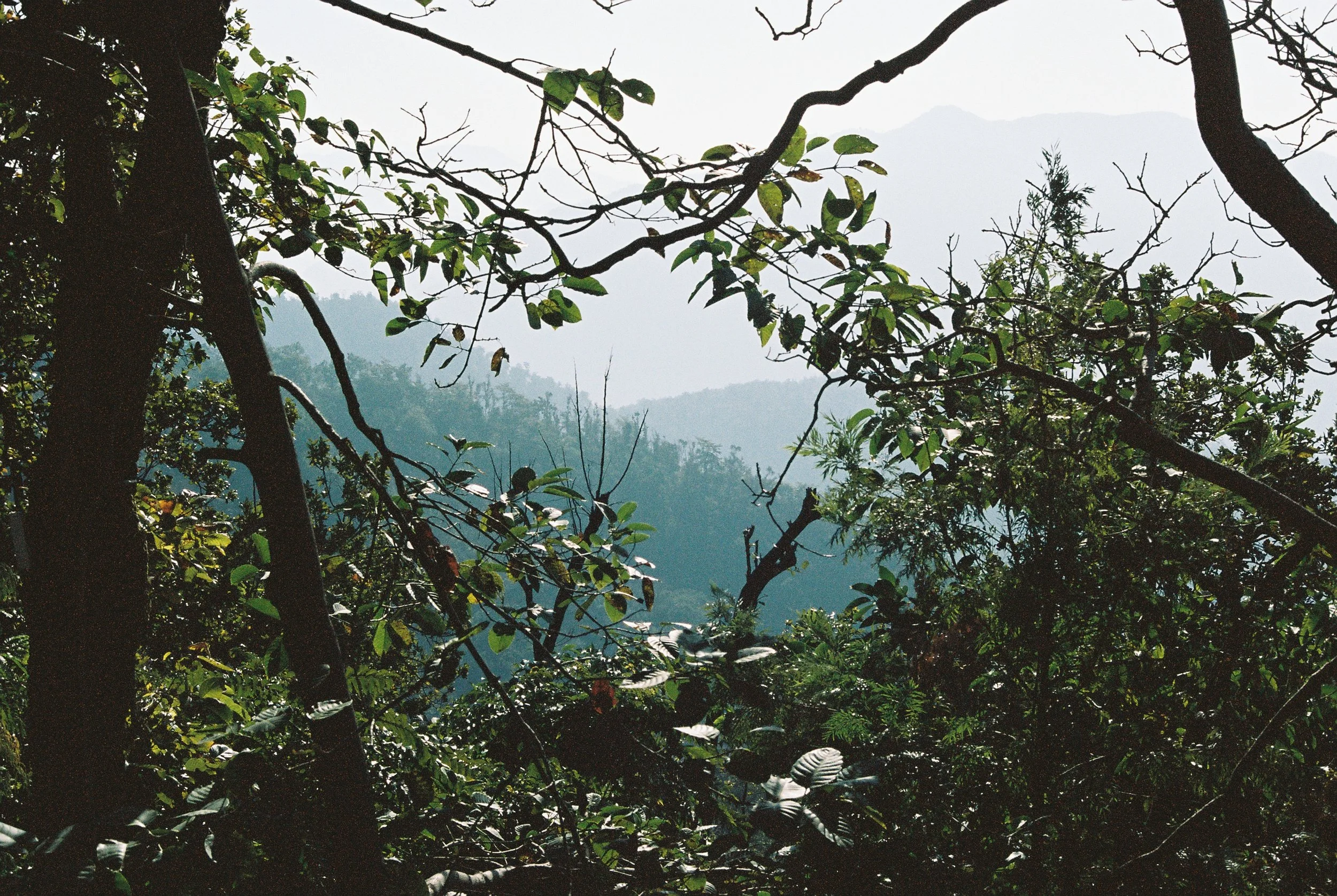 R1-09477-0031.JPG