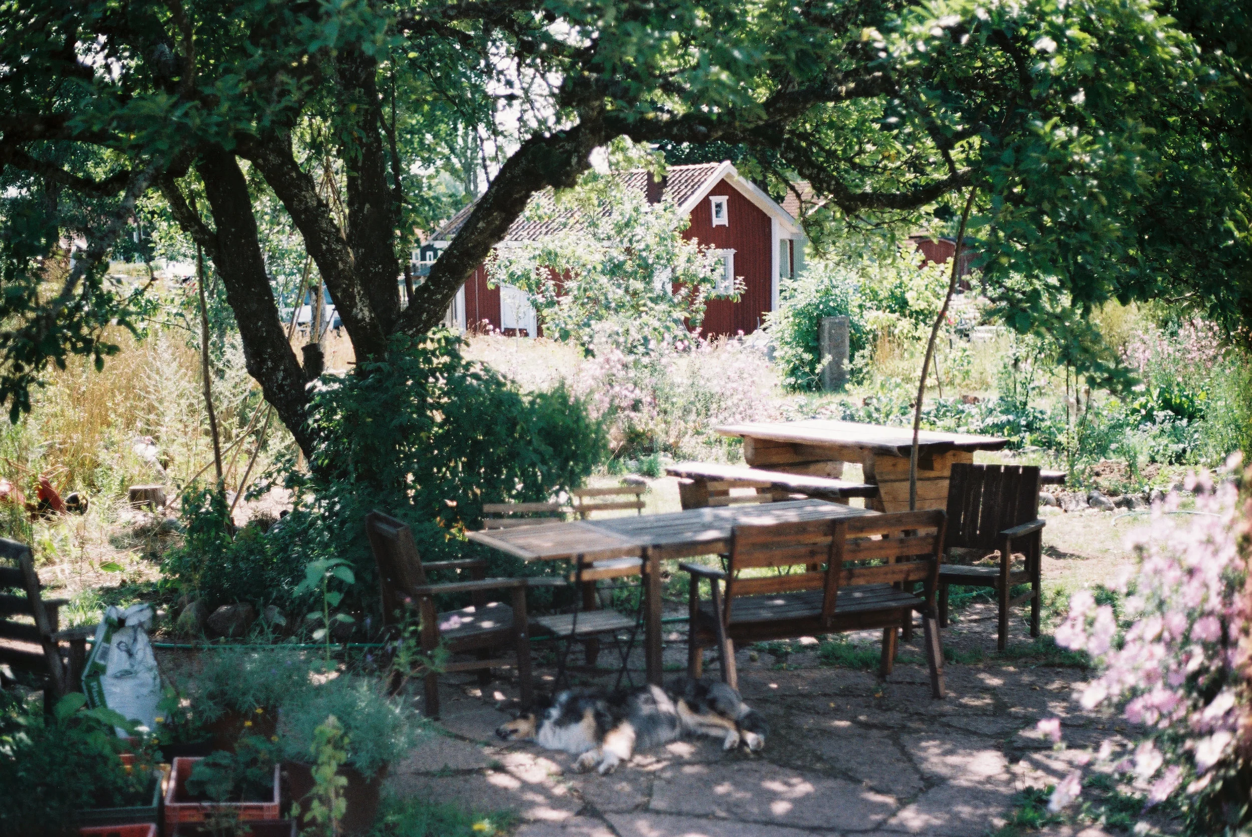 0000656_0000656-R1-021-9.jpg