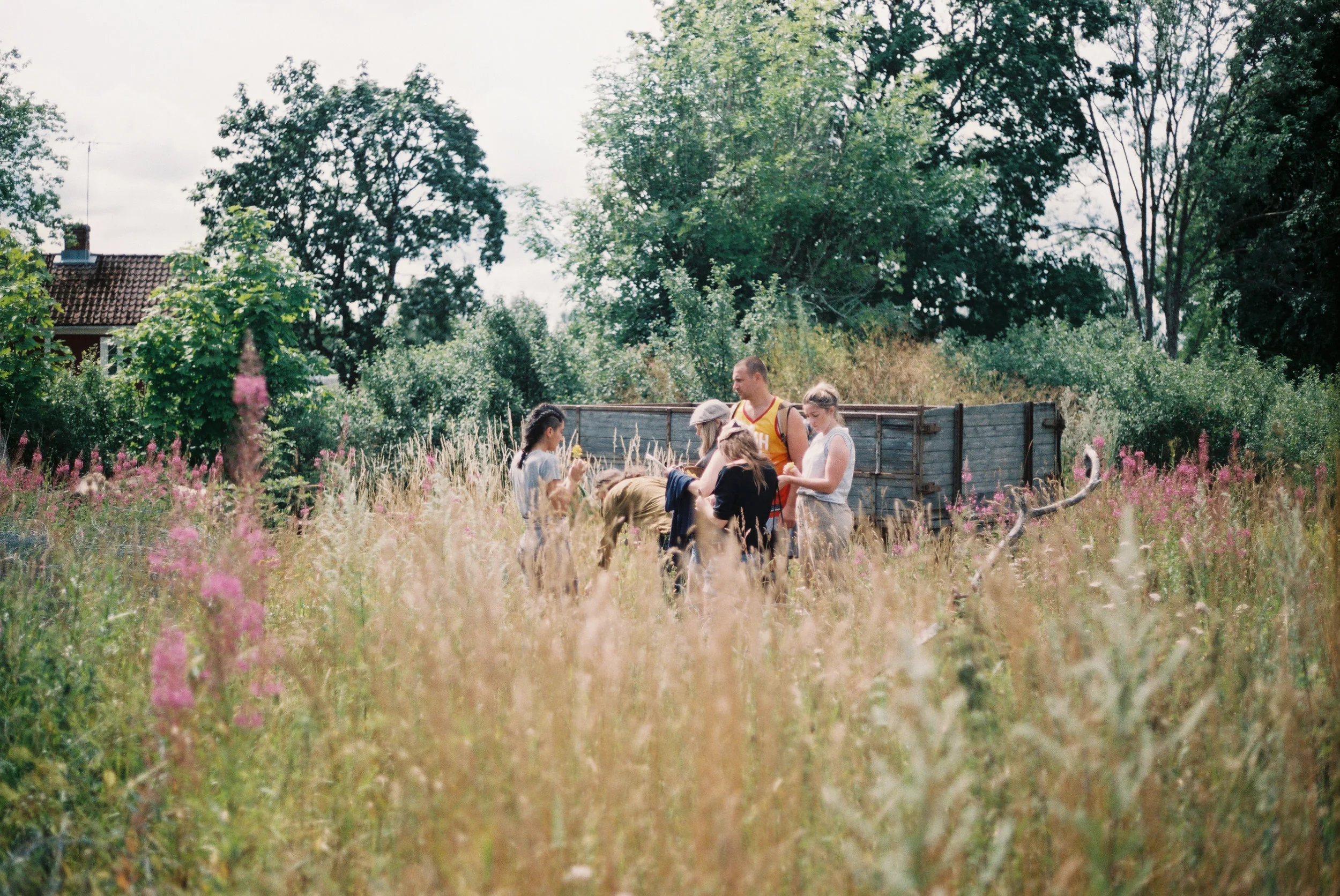 0000656_0000656-R1-035-16.jpg