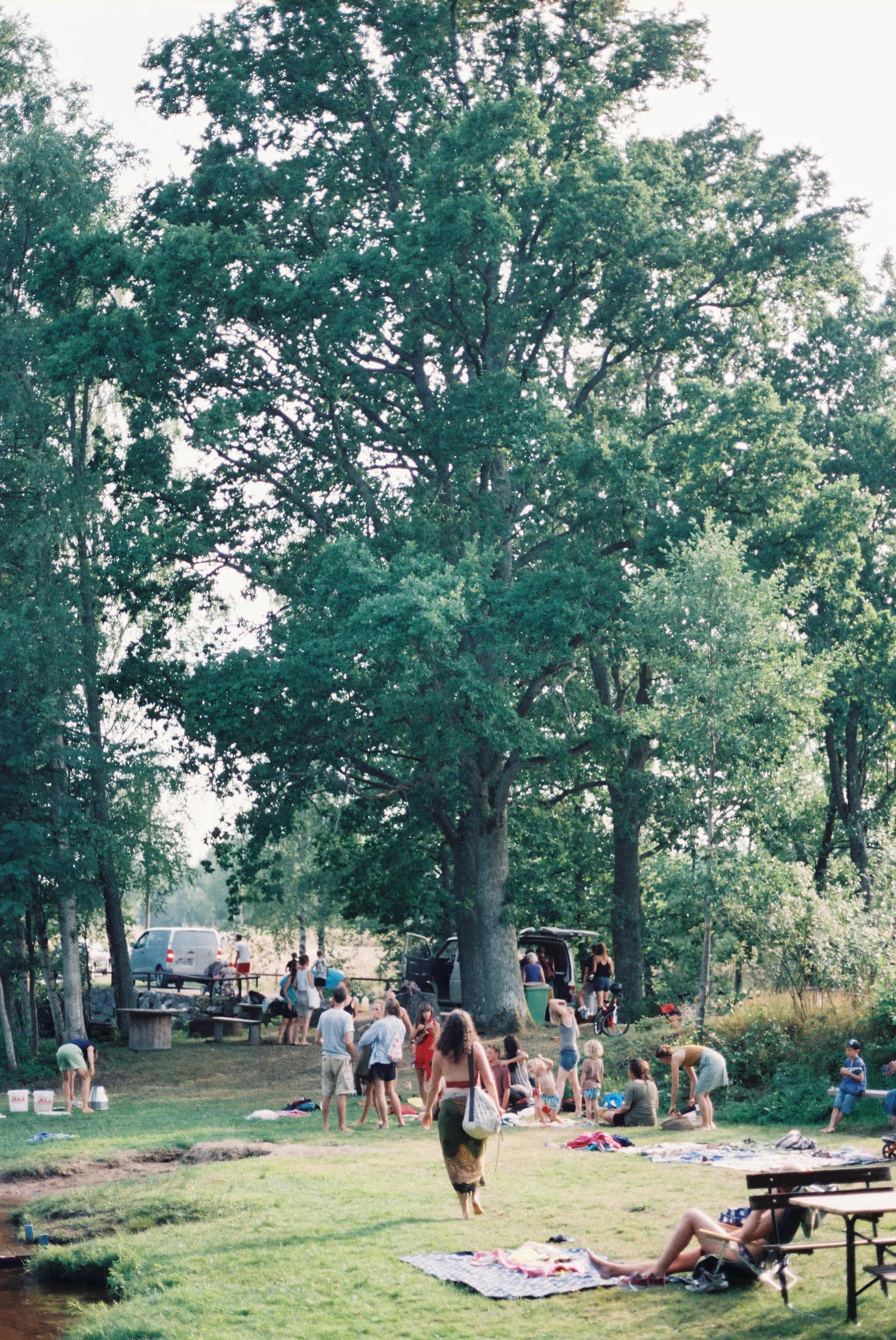 0000657_0000657-R1-009-3.jpg