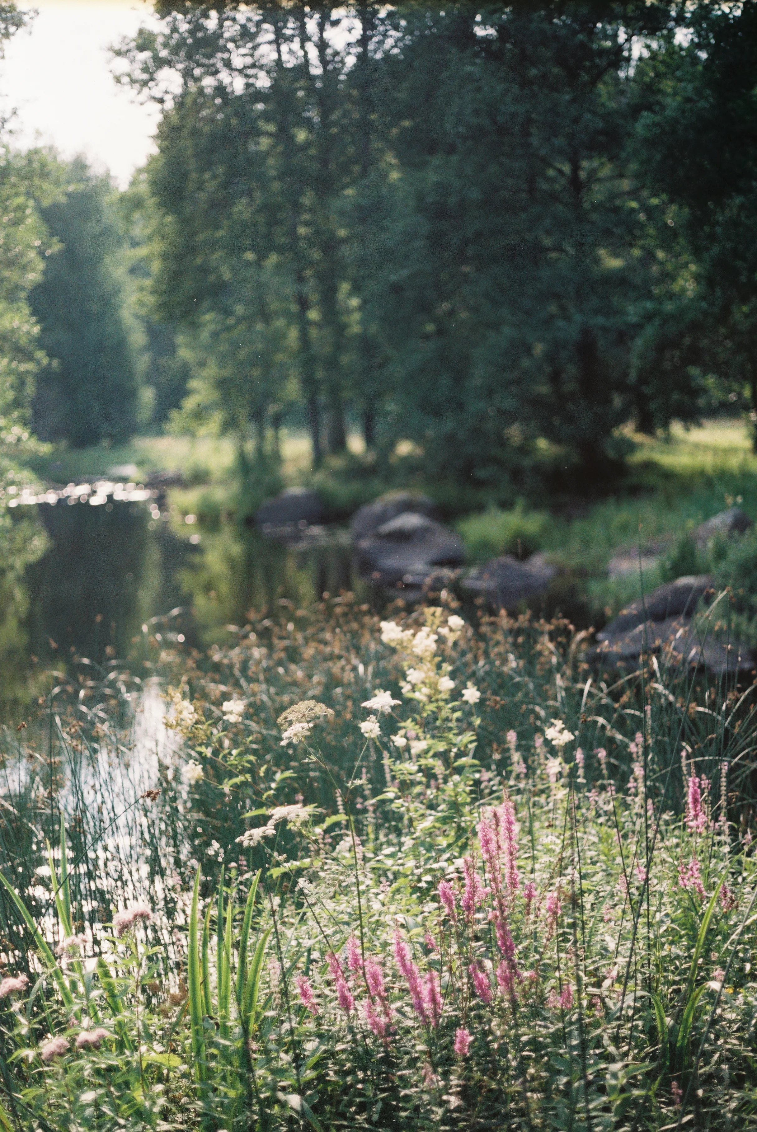 0000657_0000657-R1-027-12.jpg