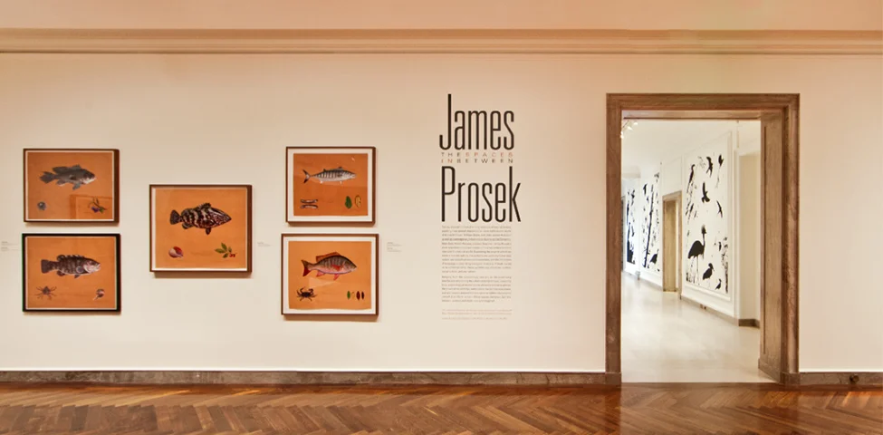 James Prosek
