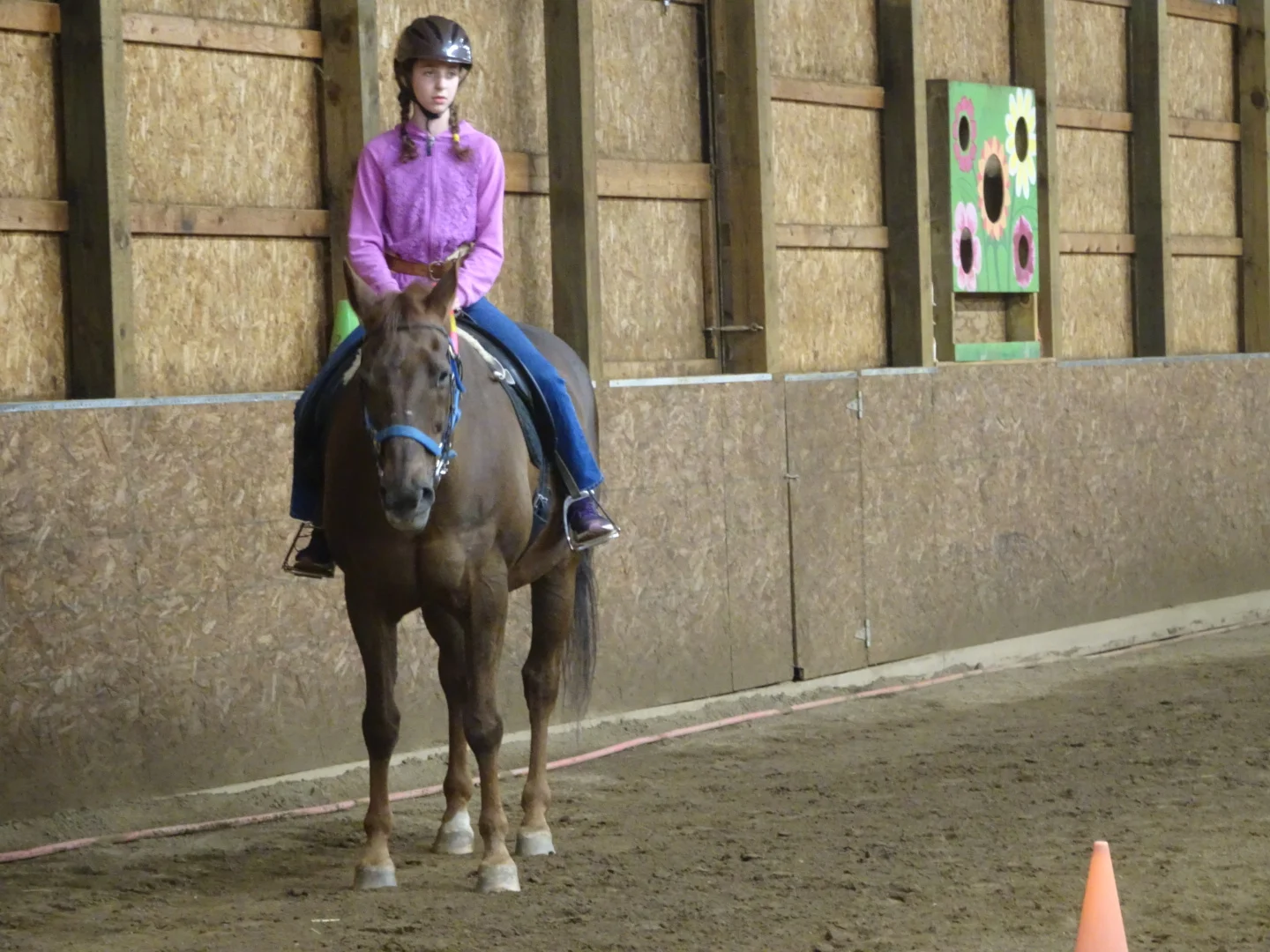 Riding Sessions