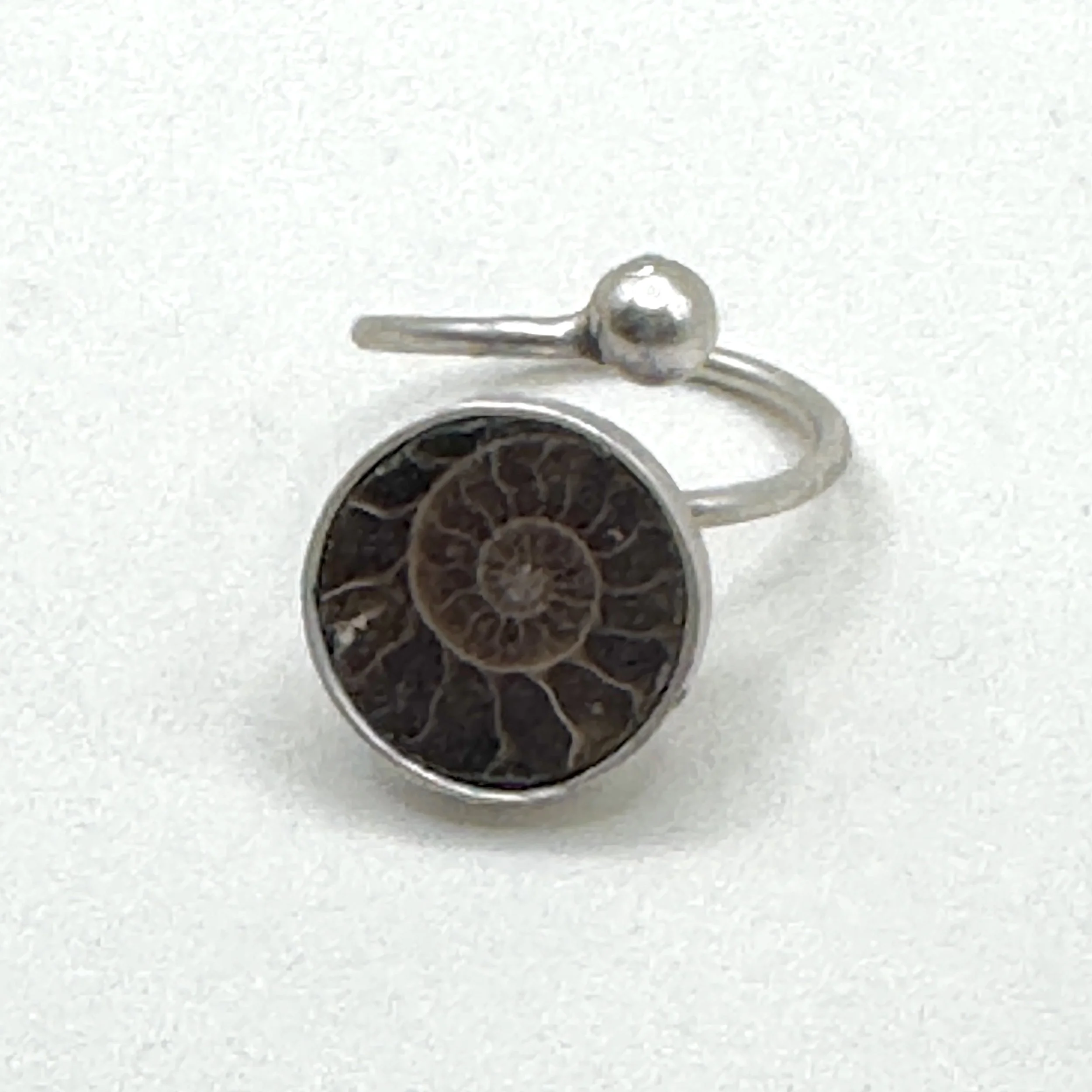 Ammonite Circle Dot Ring.jpeg