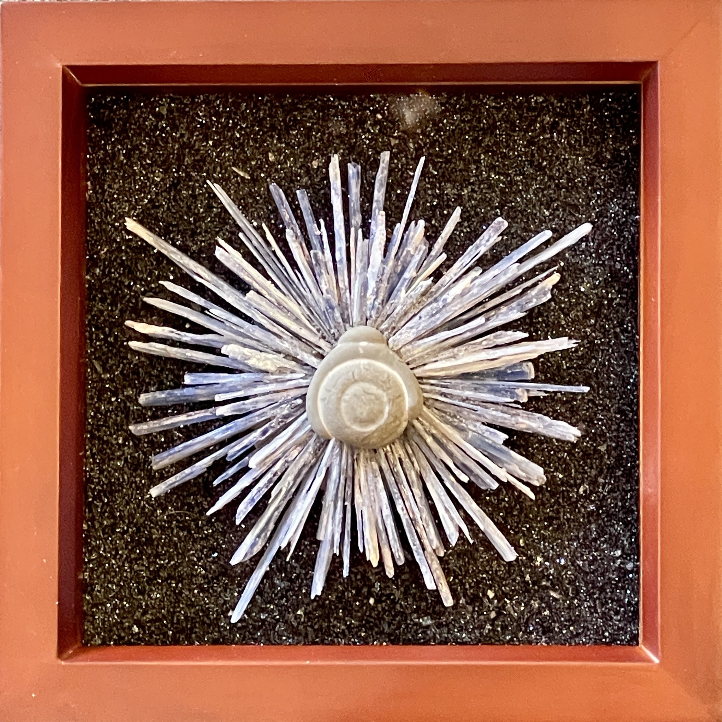 Centered Radiance.jpeg
