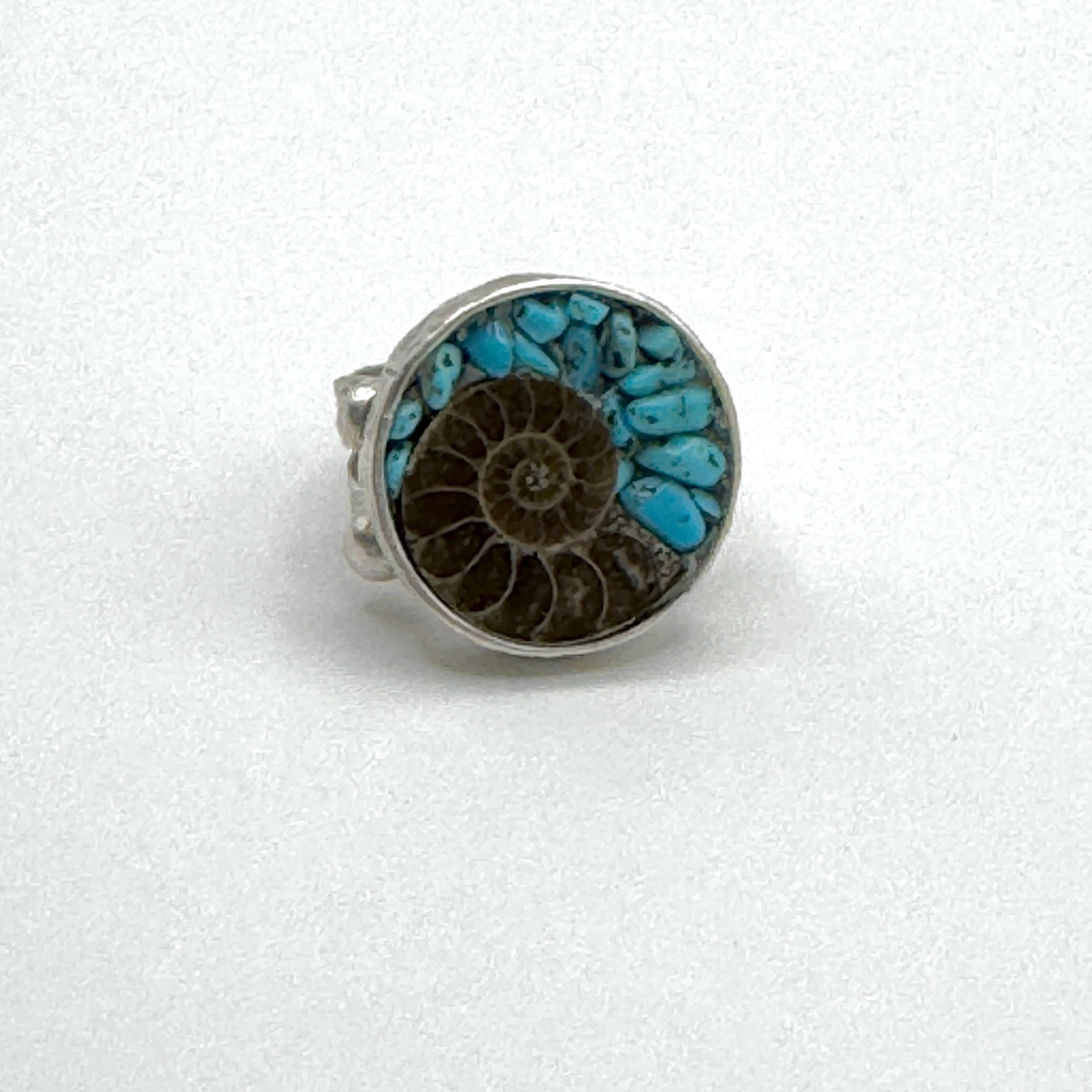 Ammonite:Turquoise Ring.jpeg