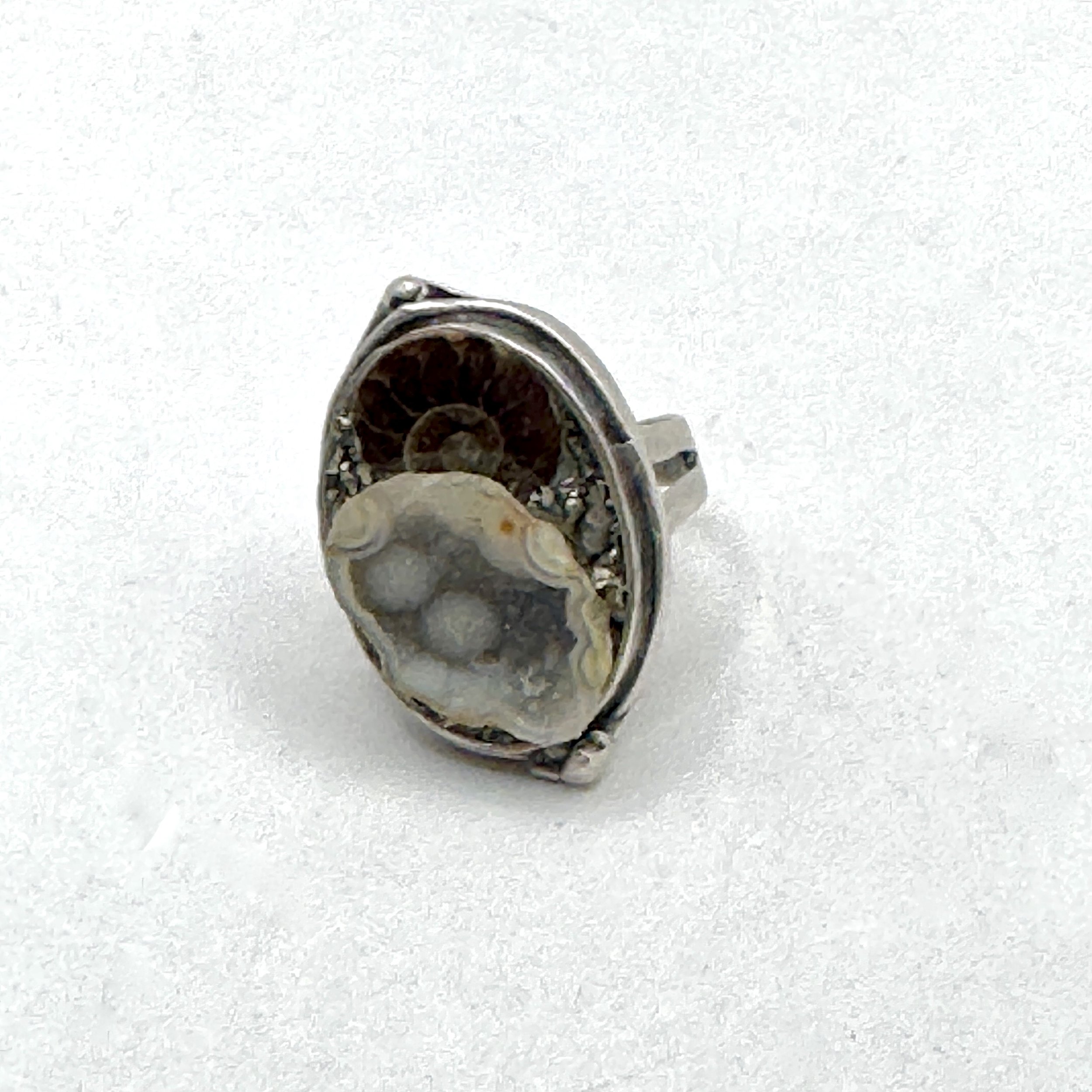 Geode Ammonite Oval Rind.jpeg