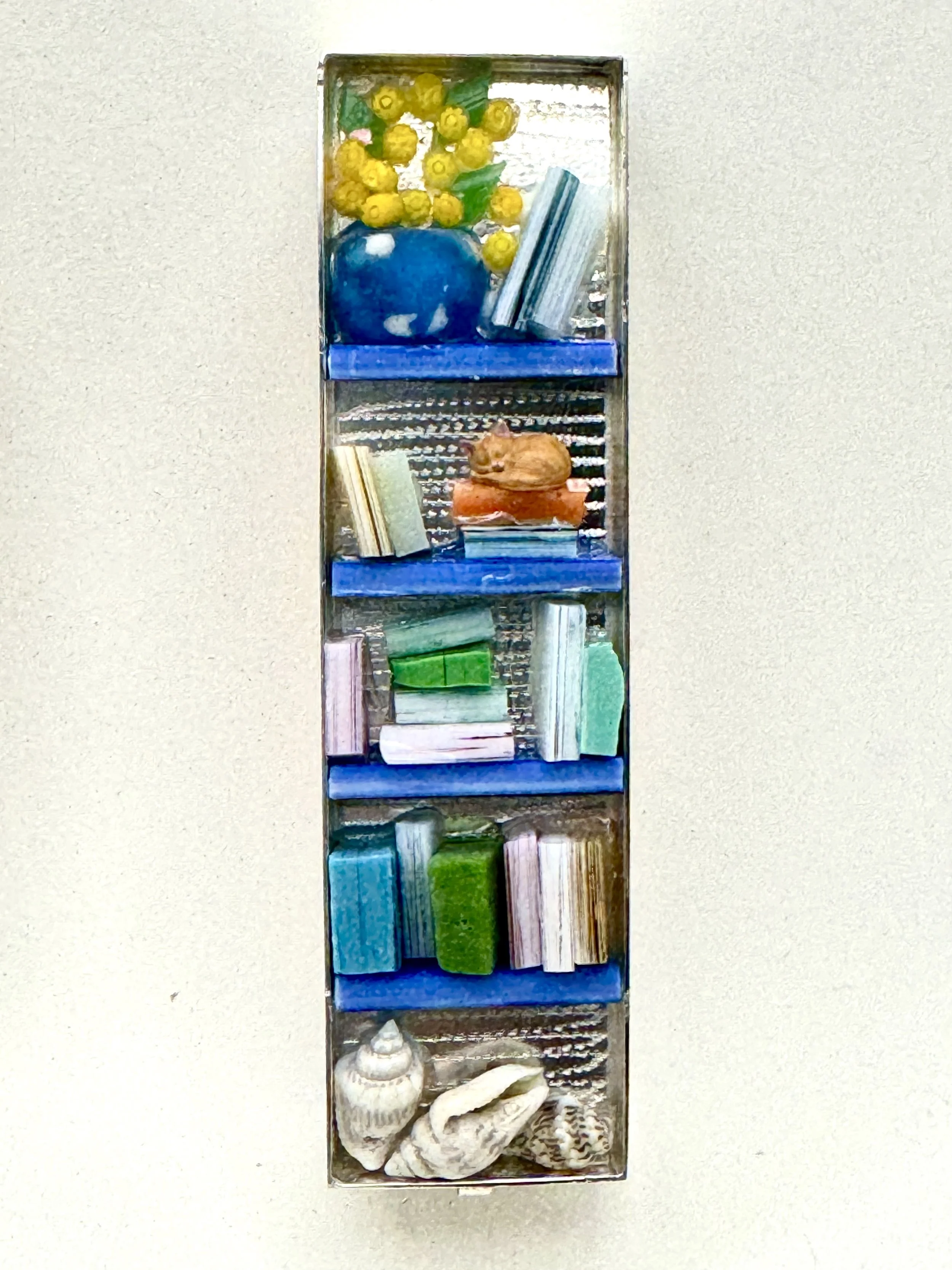 Mexuxah Bookcase Cat.JPG