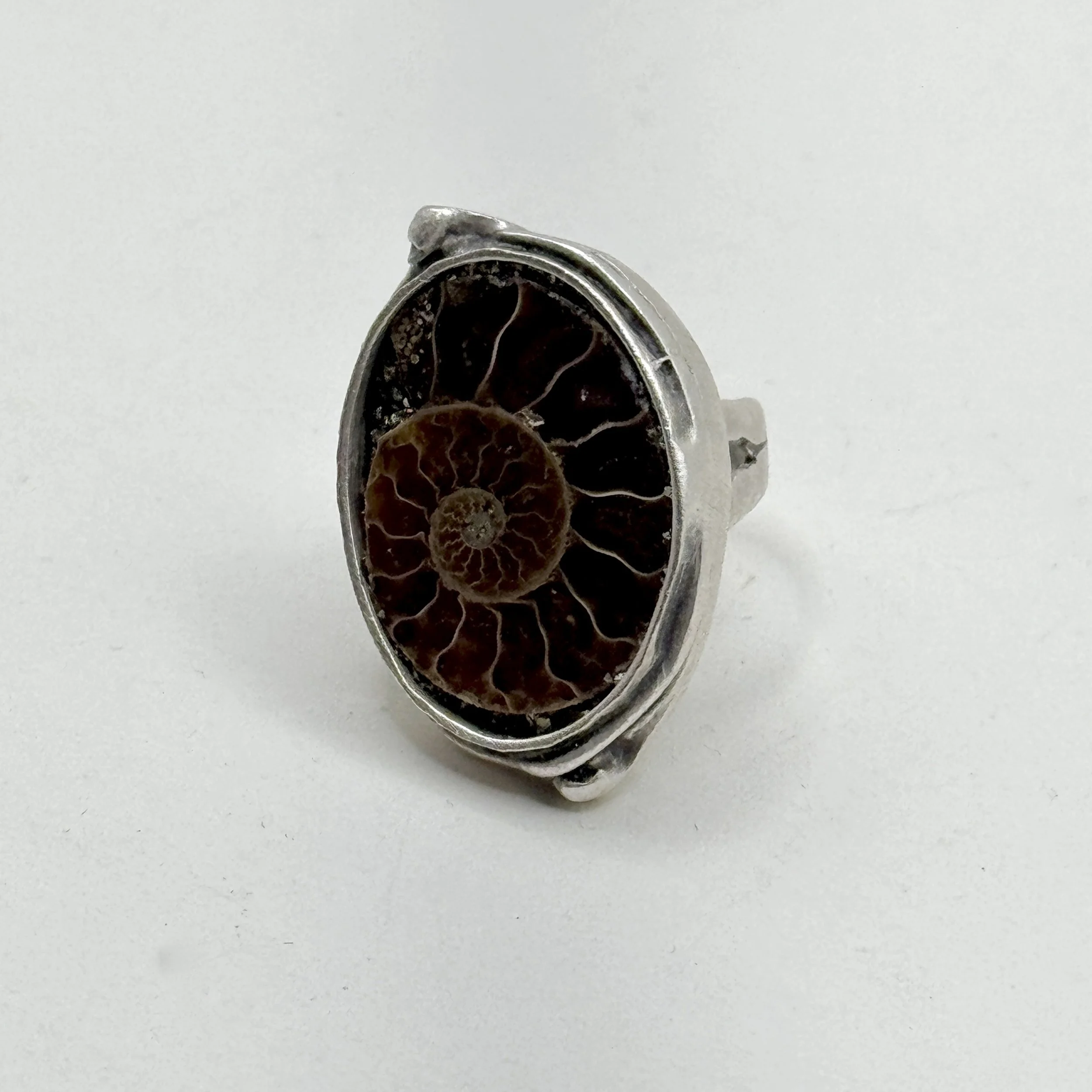 Oval Ammonite Ring.jpeg