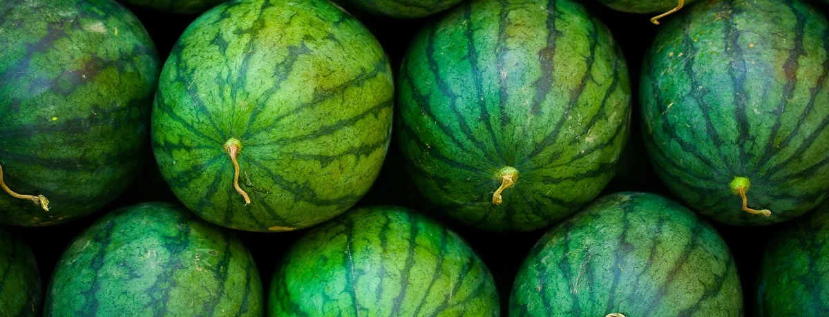 shutterstock_275556698 - Low Quality(1).jpg