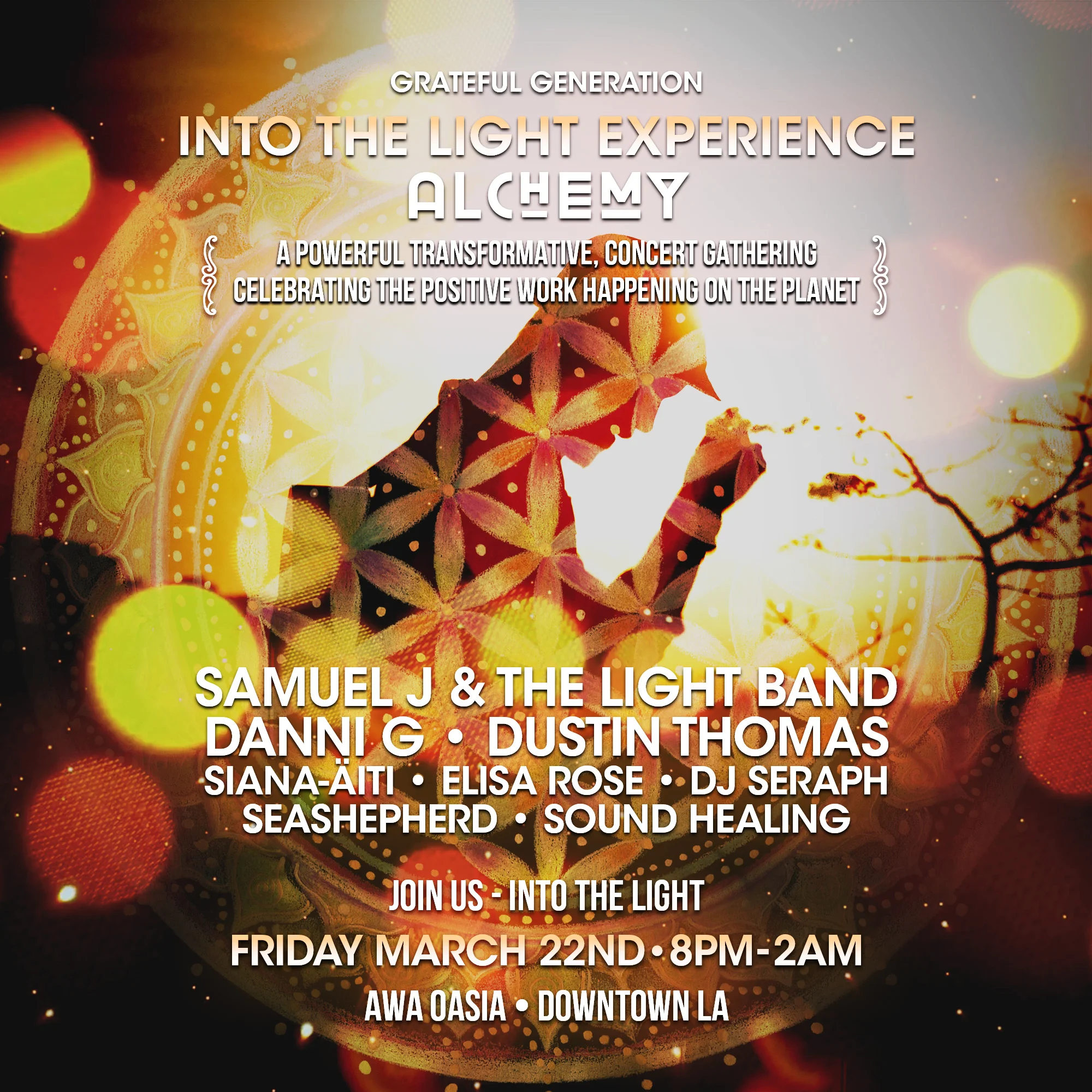 Into The Light Experience March 22.jpg