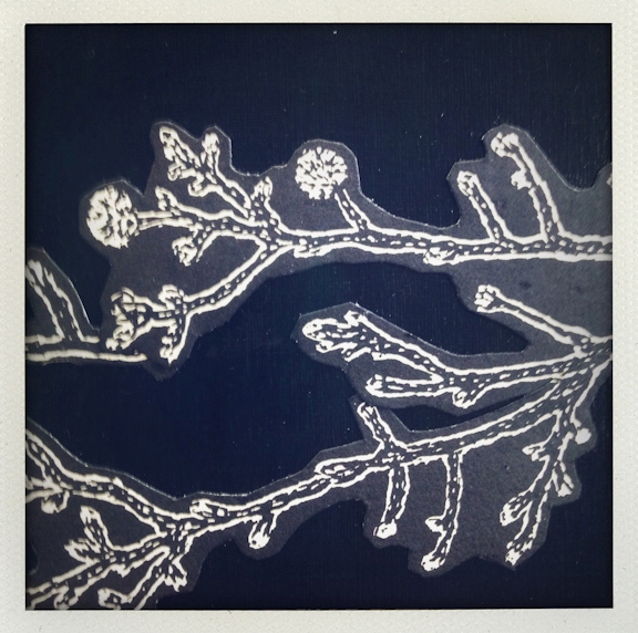 Nature/Nurture folio: detail of Margaret Sanders' print