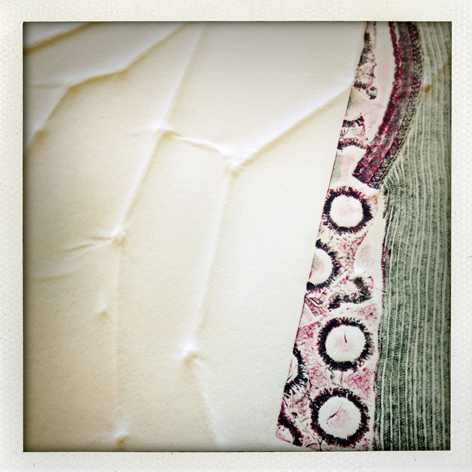 Skin Deep folio: detail of Nadia Caon's print