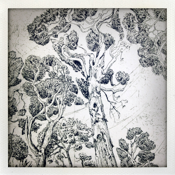 Nature/Nurture folio: detail of Michele Lane's print