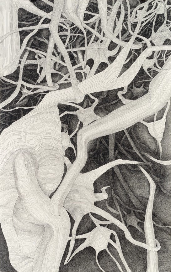 Petra Dolezalova Troyn, 'Neurons' (detail), ink drawing (unique state)