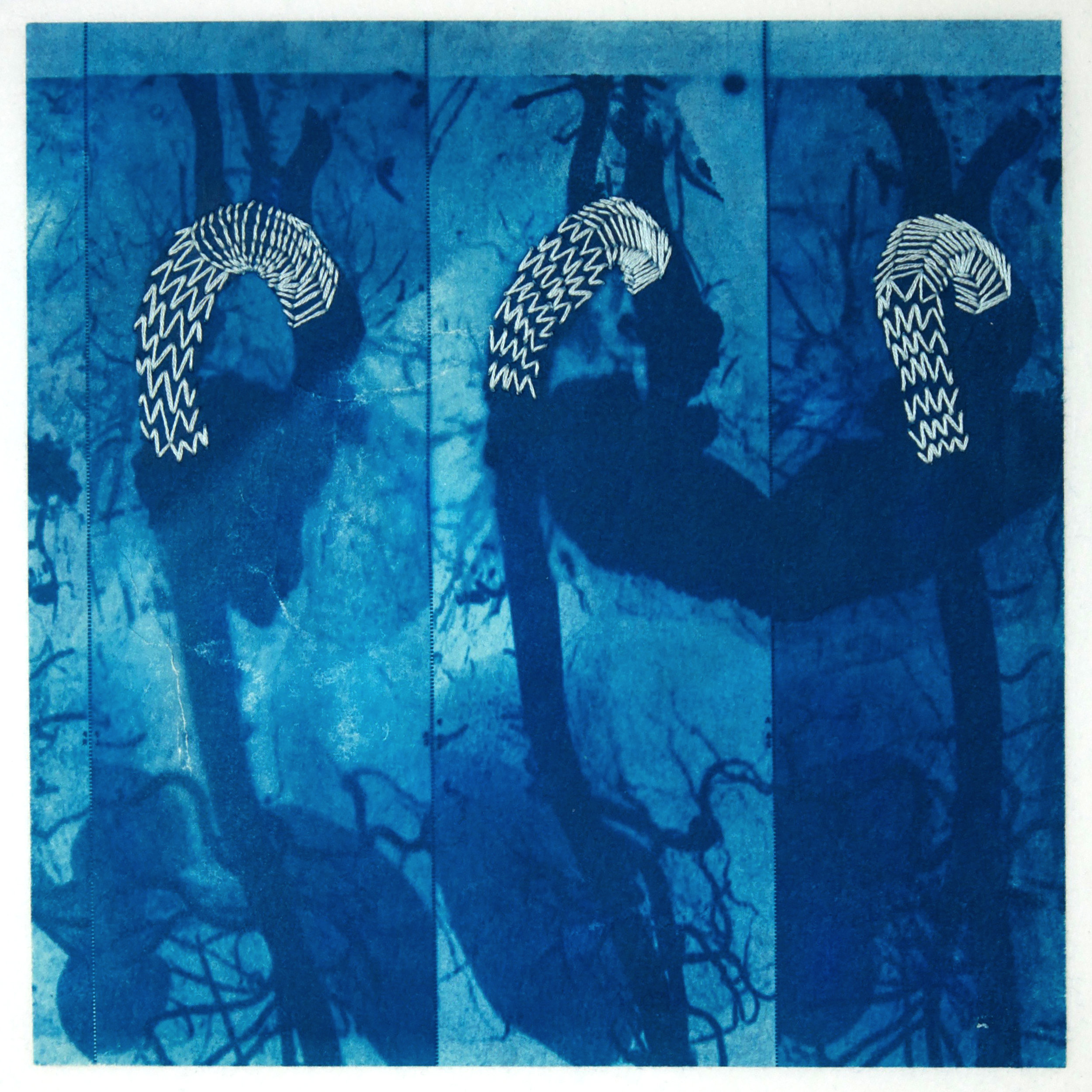 Michele Lane, Conduit #2' (detail), cyanotype with embroidery (unique state) (Copy)