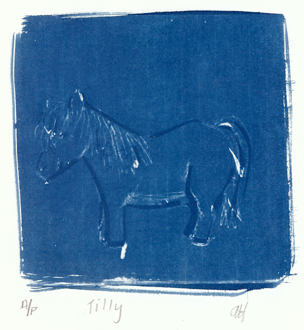 Angus Hambrook 17 Tilly, cyanotype LR.jpg